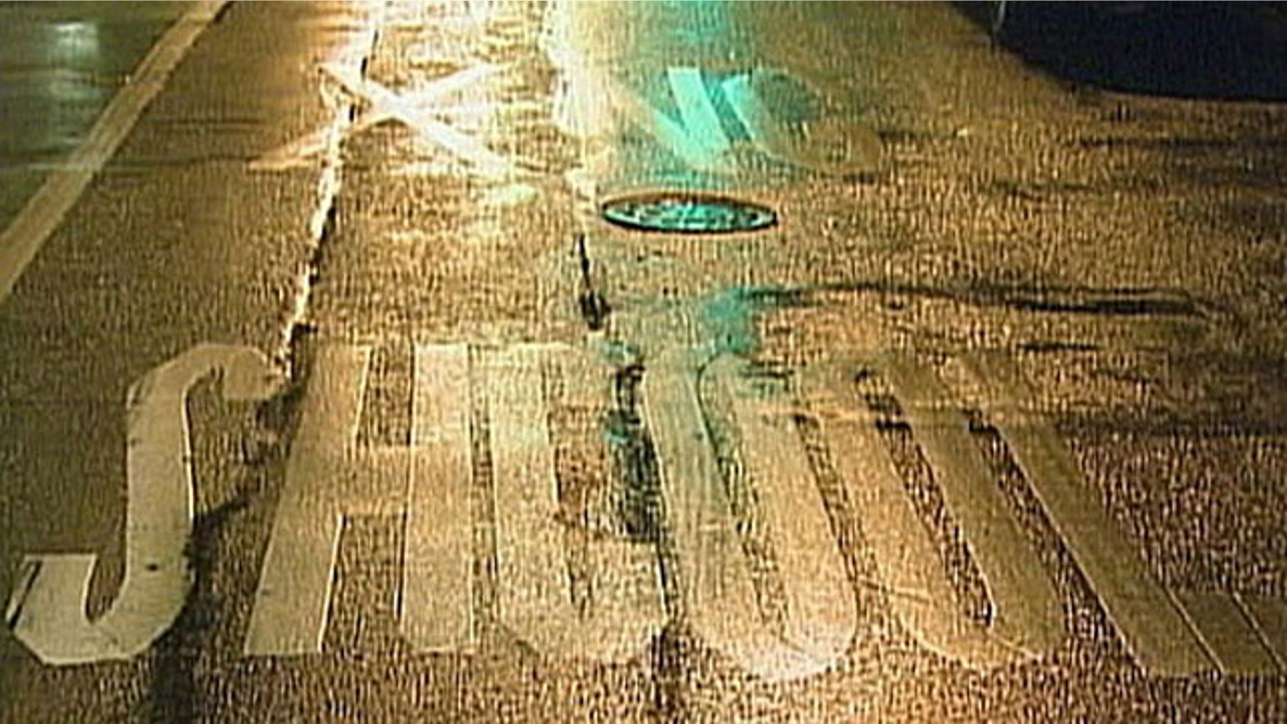 The word school was misspelled as "shcool" on Stanton Street in front of Marta Valle High School. The error was made sometime last summer, MyFoxNY.com reports.