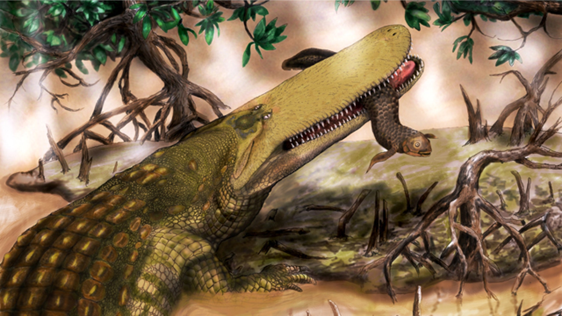 MU assistant professor Casey Holliday nicknamed Aegisuchus witmeri Shieldcroc because of its thick skinned shield.