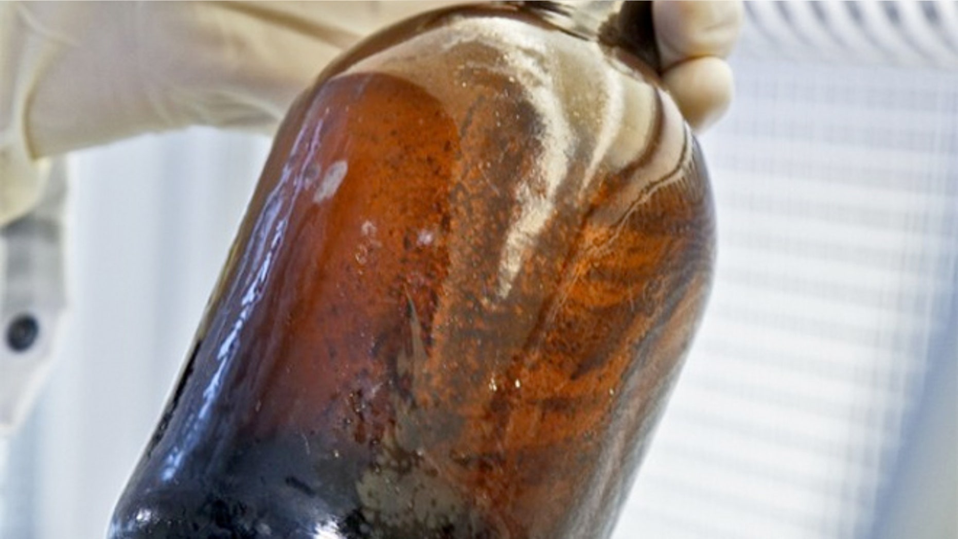 Beer discovered two years ago onboard a shipwreck from the mid-1800s could possibly be recreated using living bacteria discovered in the brew.