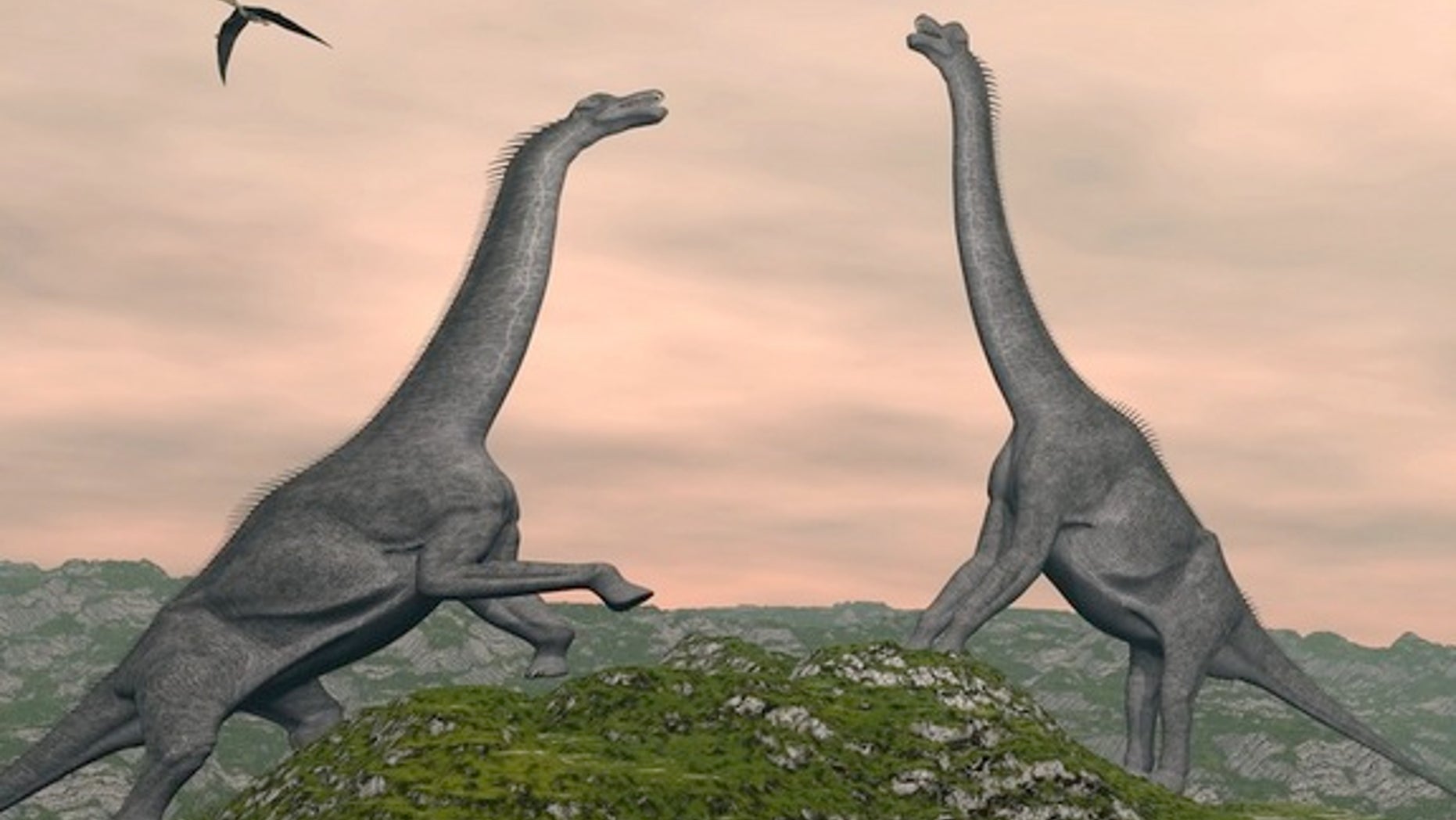 Brachiosaurus at sunset.