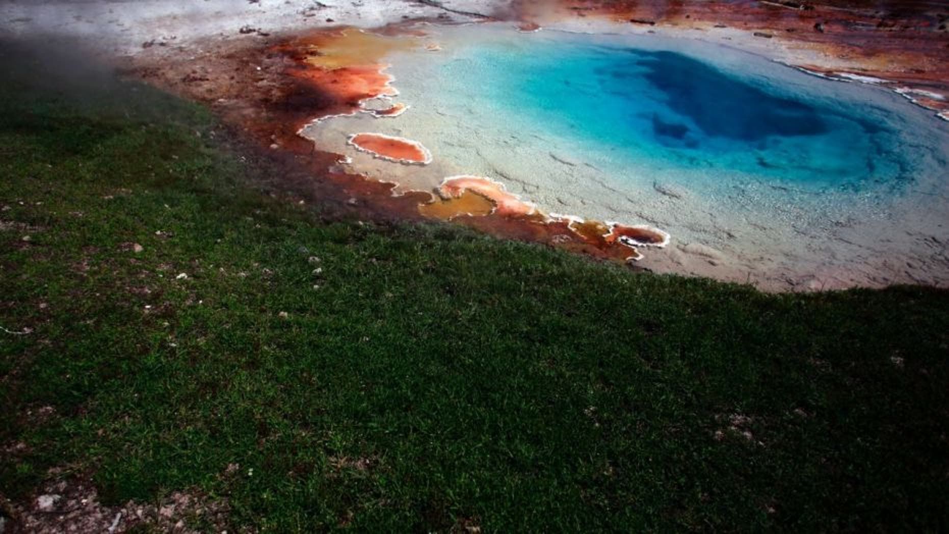 The Silex source in the Fountain Paint Pot area in Yellowstone National Park, Wyoming.