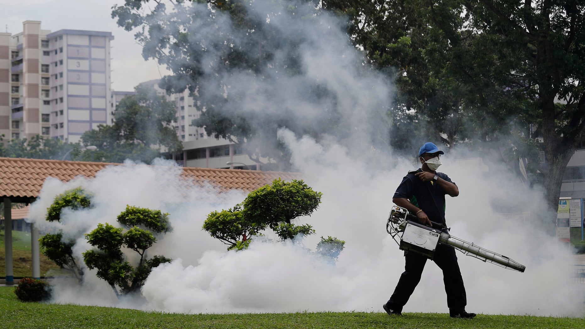 A pest control worker fumigates drains and the gardens at a local housing estate where the latest case of Zika infections were reported from on Thursday, Sept. 1, 2016, in Singapore. Indonesia is screening travelers from neighboring Singapore for the mosquito-borne Zika virus as the city-state reports a growing number of infections and its first case of a pregnant woman testing positive. (AP Photo/Wong Maye-E)