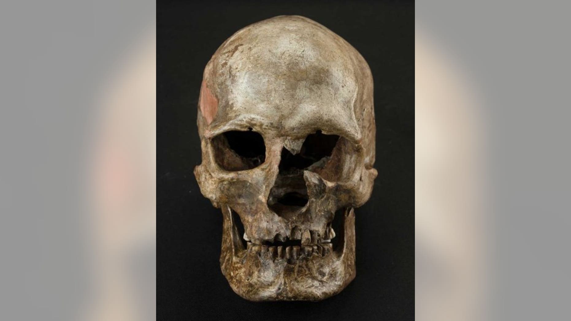 Dolnte Vestonice burial 16, South Moravia, Czech Republic. (Martin Frouz)