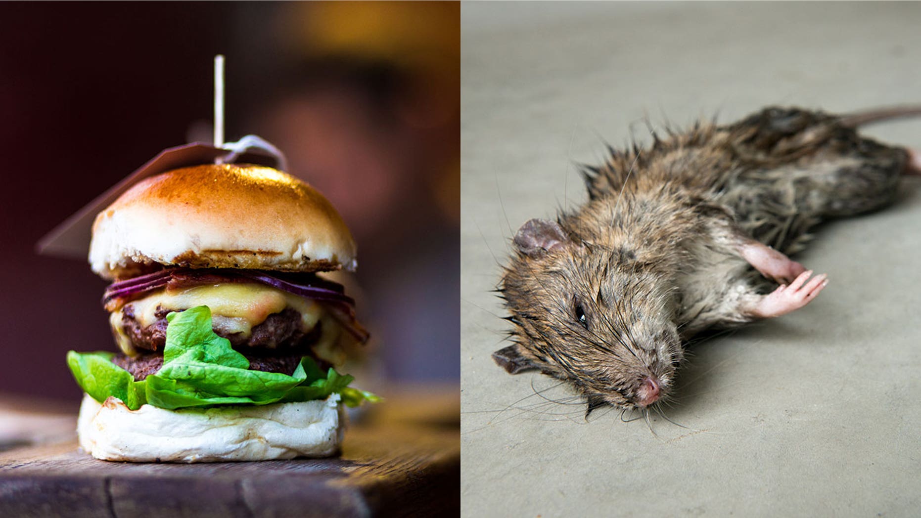 Burger Contained Fully Fledged Hairy Mouse Claims Australian Man Fox News