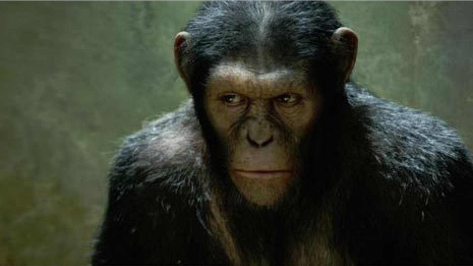 Planet of the Apes prequel Rise of the Planet of the Apes