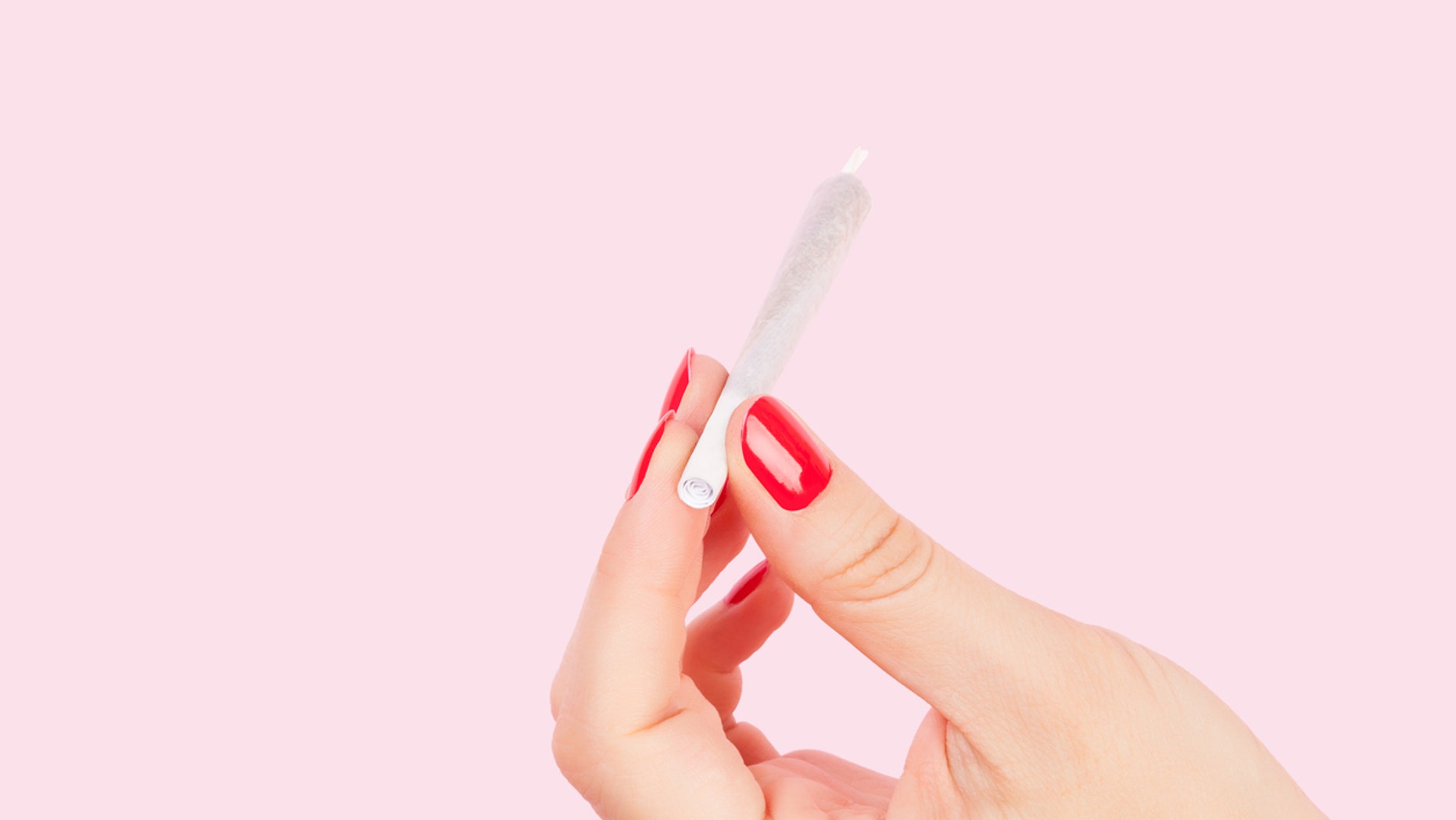 Female hand with red fingernails holding cannabis joint isolated on pink background. Sexy weed smoking.