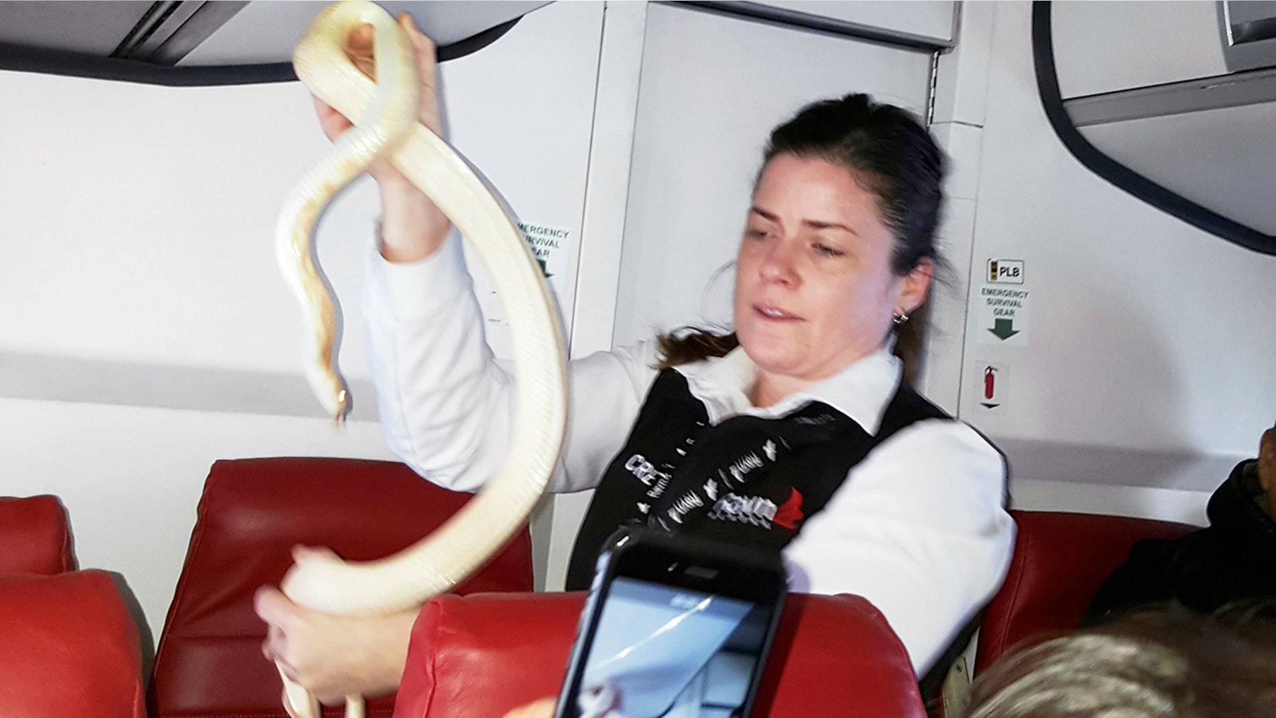 In this Sunday, March 19, 2017 photo, a flight attendant holds a snake found on a Ravn Alaska flight between Aniak, Alaska and Anchorage.