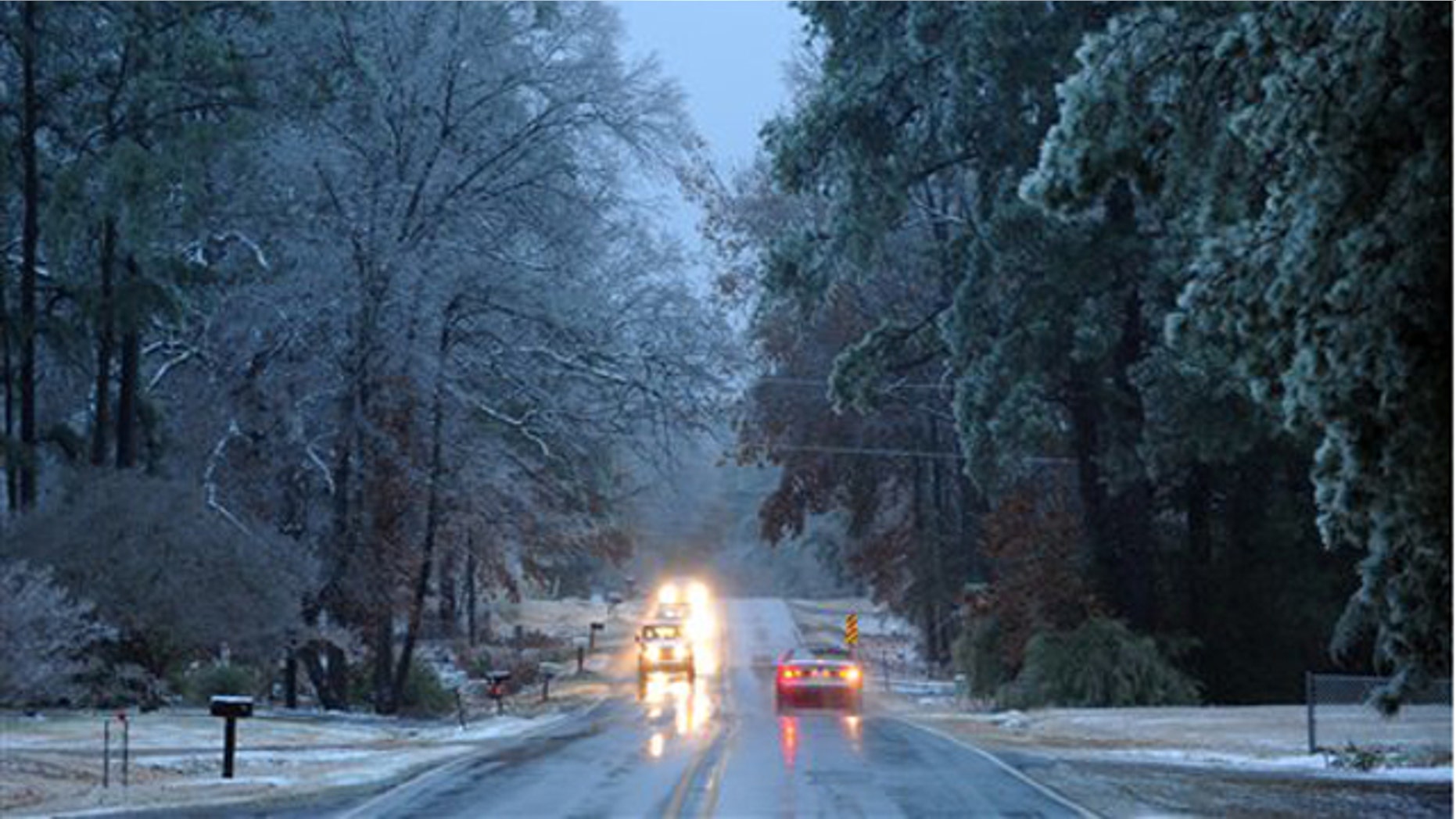 Jan. 9, 2011: Snow layers the trees along Roy Road in Shreveport, La., after a winter blast hit the area.