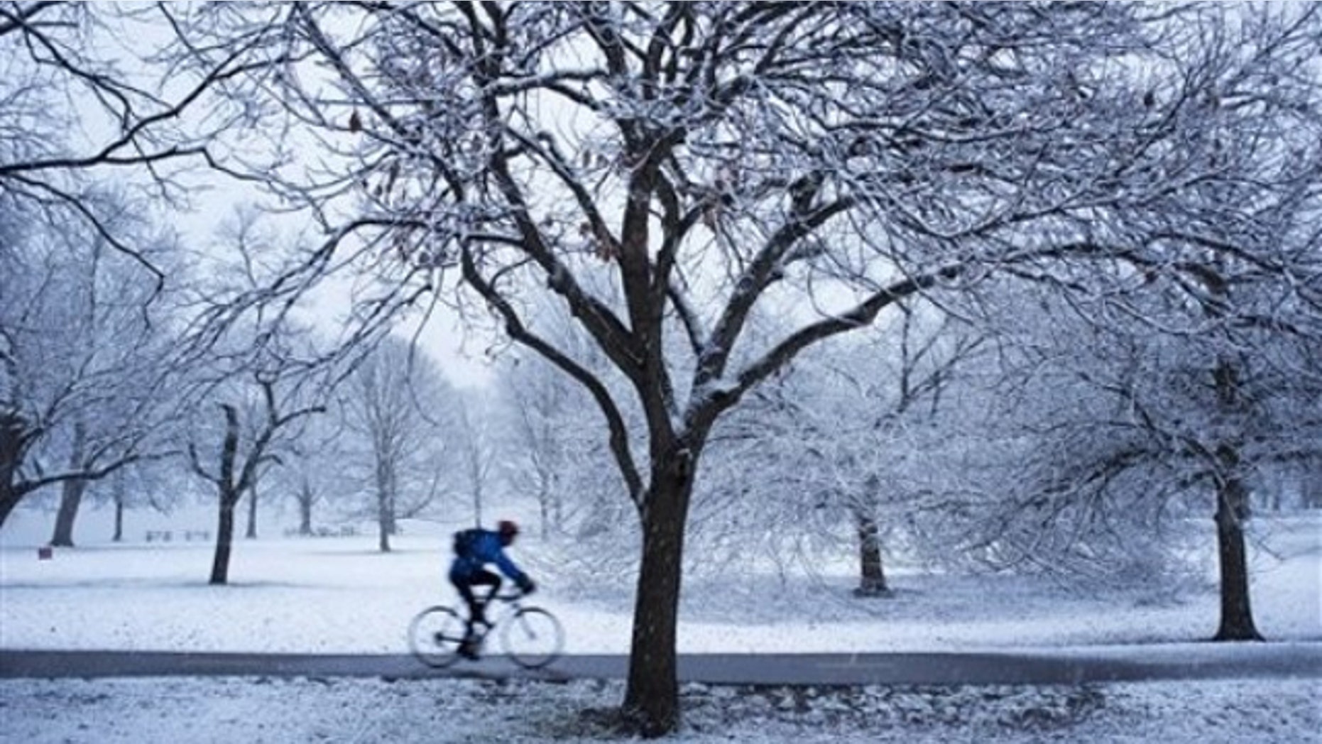 Rain of at least one inch pushed down voter turnout by 1 percent, while a inch of snow reduced turnout by half a percent.