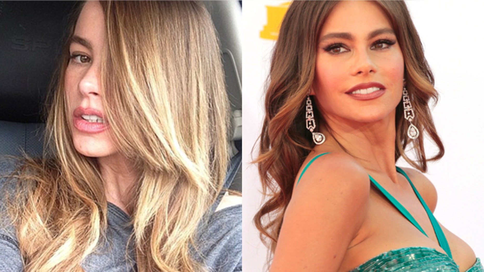 Sofia Vergara.