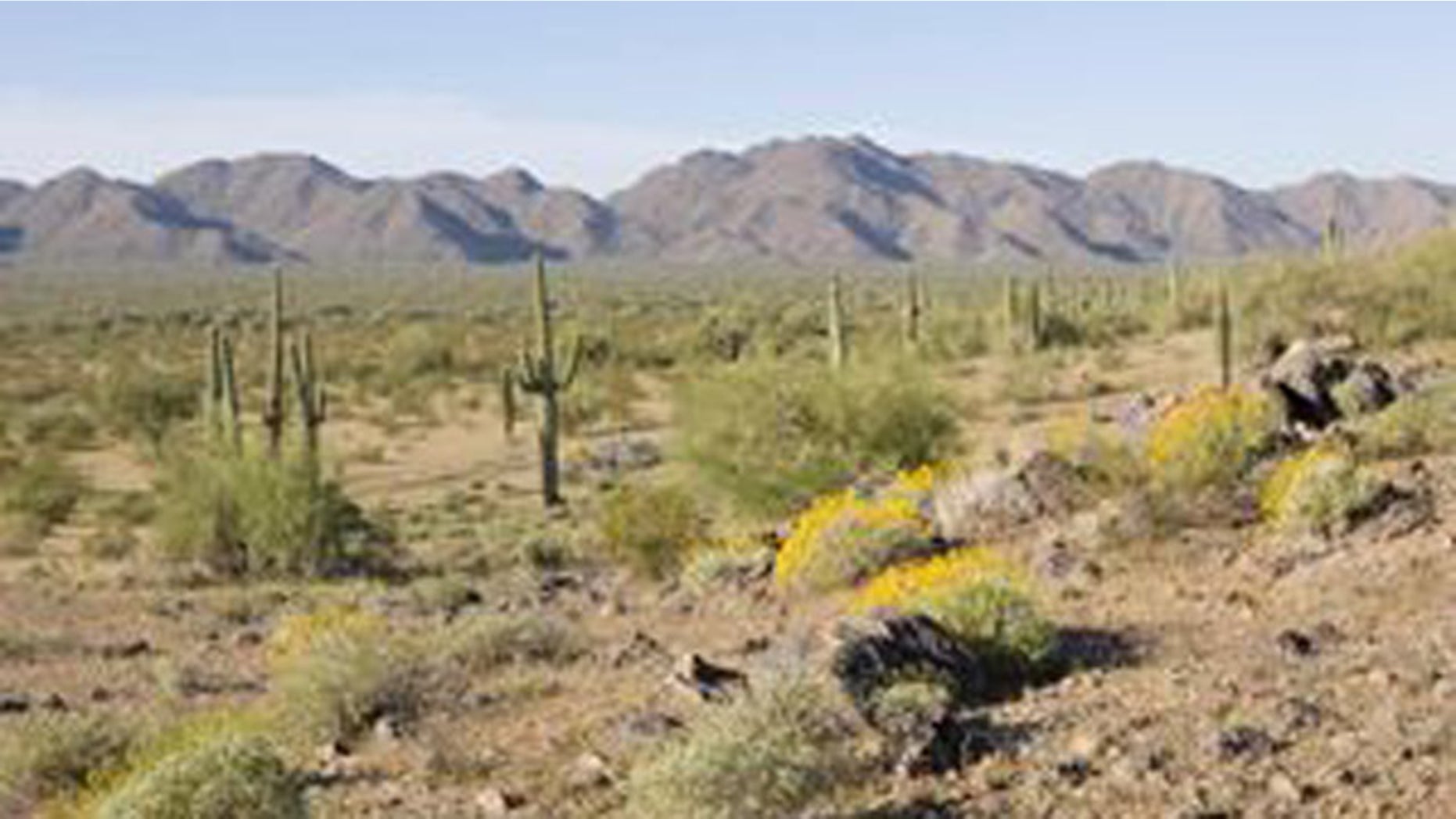Shown here is land in the Sonoran Desert National Monument.