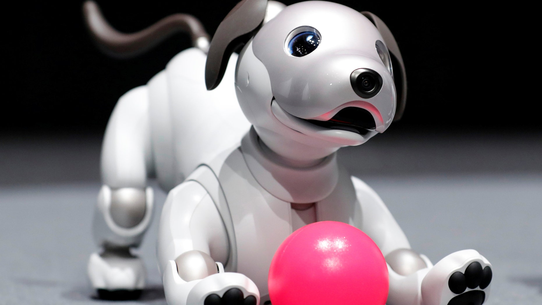 File photo: Sony Corp's entertainment robot "aibo" is pictured at its demonstration in Tokyo, Japan November 1, 2017. (REUTERS/Kim Kyung-Hoon)