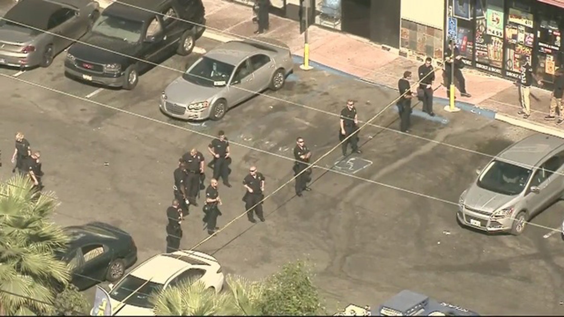 Protesters Gather After Los Angeles Police Fatally Shoot Man Following Car Chase Fox News 9736