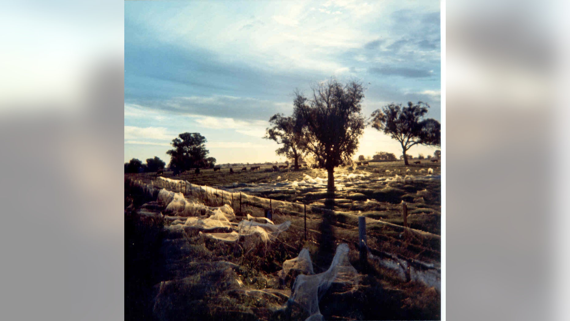 The photograph was taken by Kevin Dixon, sent to Keith Basterfield. It was taken in May 1974 in Albury, New South Wales, Australia.