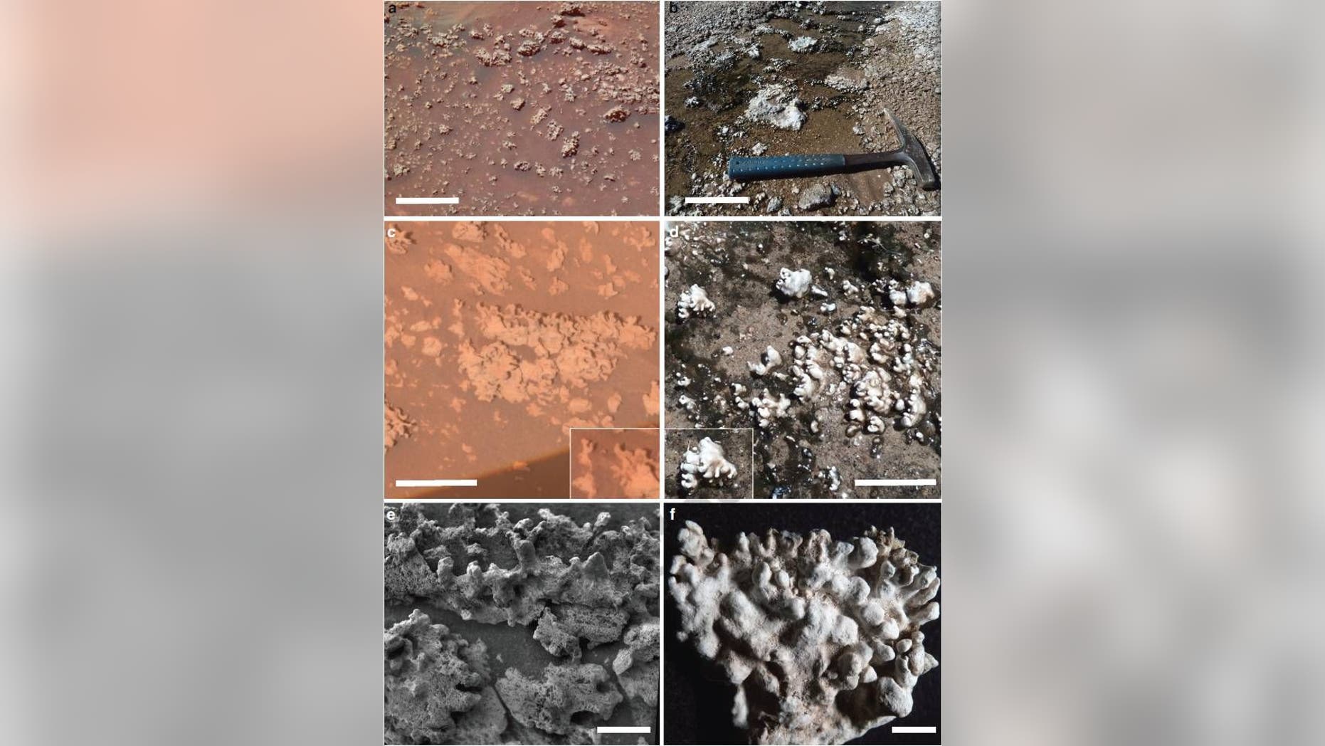 Home Plate opaline silica (left) occurs in nodular masses with digitate structures that resemble those at El Tatio (right).