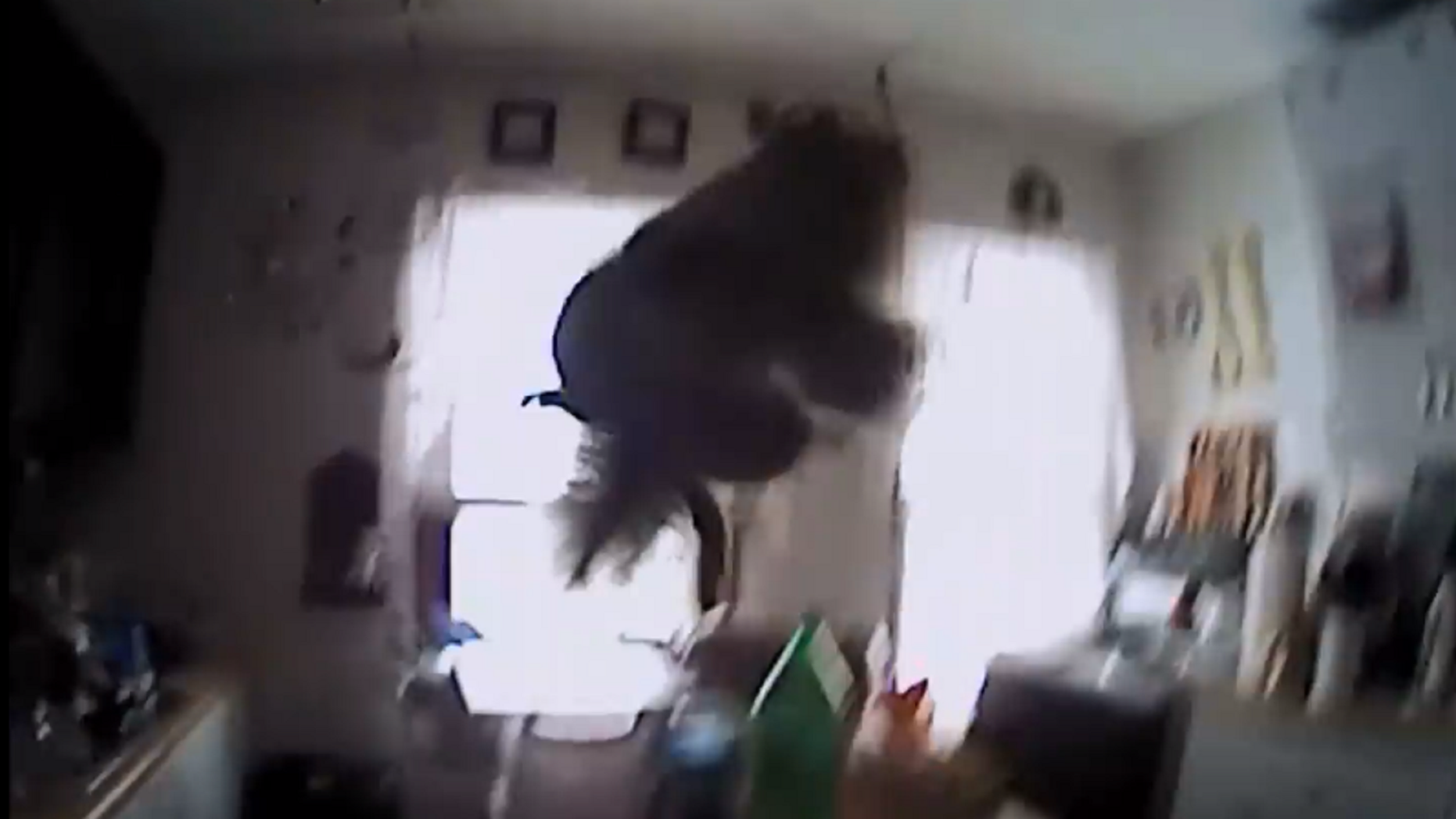 This framegrab shows the squirrel mid-flight before colliding with the police officer.