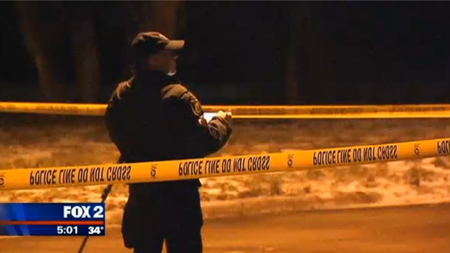 Police investigate the scene in Dearborn Heights, Mich., where a woman's body was found badly beaten and dumped along a road in suburban Detroit.