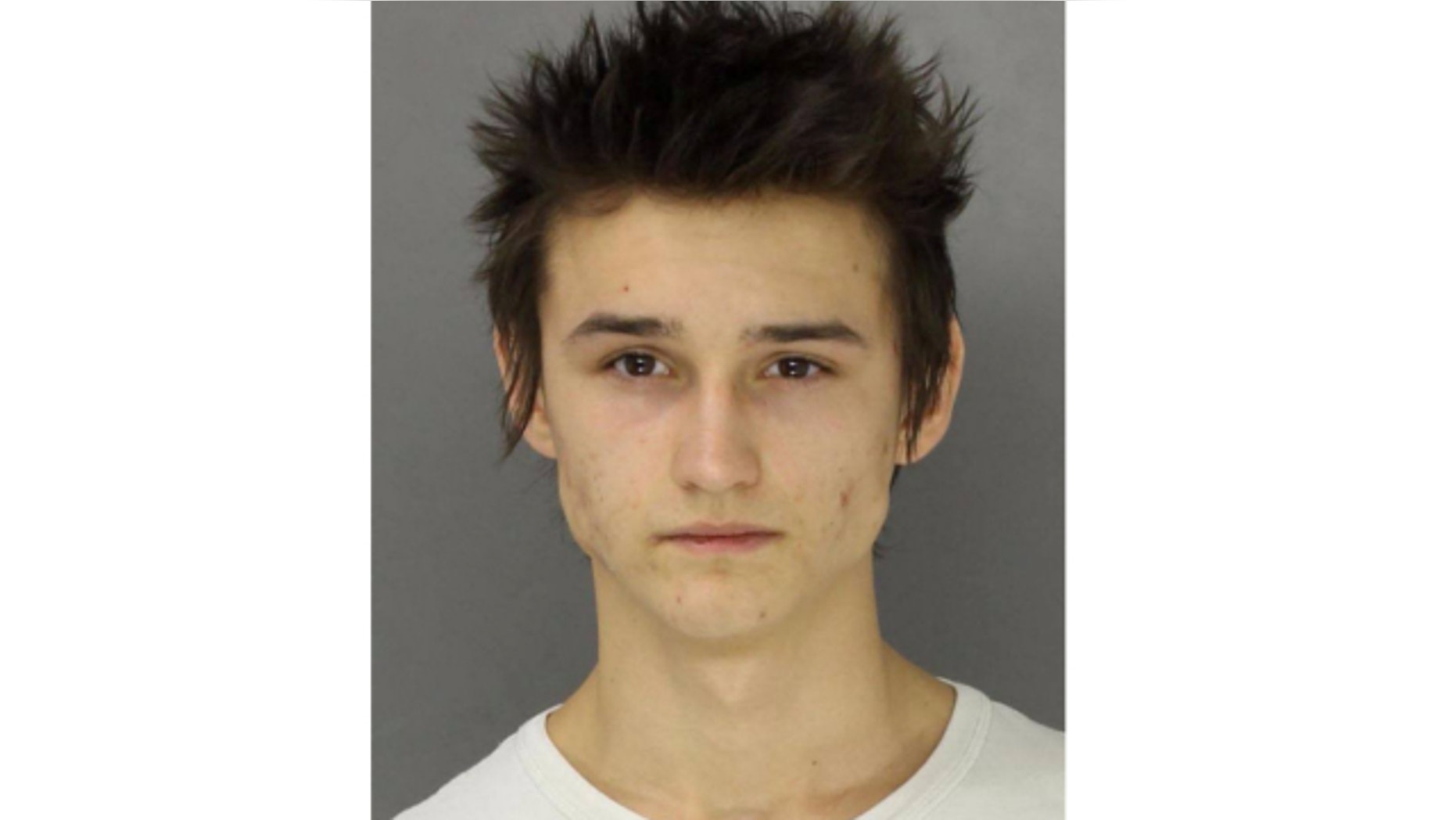 UNDATED: Vladislav Miftakhov, 19, was arrested on suspicion of possessing a weapon of mass destruction, authorities in Pennsylvania said.