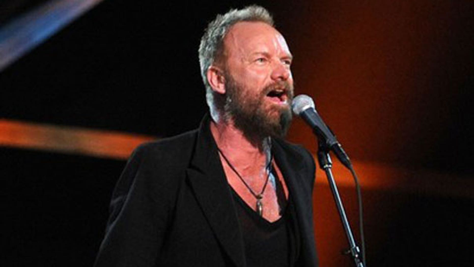 Rocker Sting is seen at a New York City performance. (AFP)