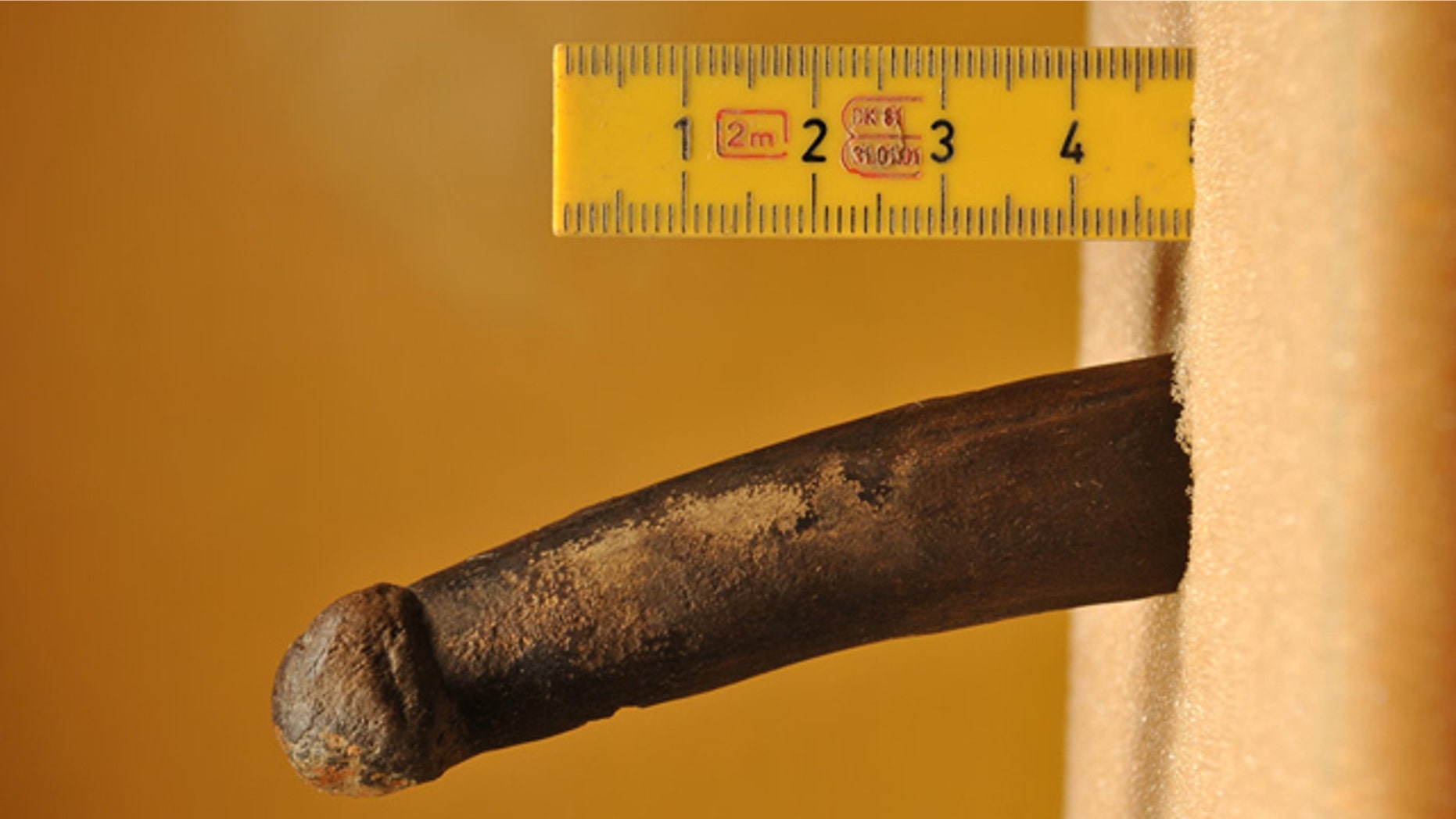 This bone carving from Stone Age Sweden could be an ancient dildo, scientists say. Then again, it might just be a carving tool.
