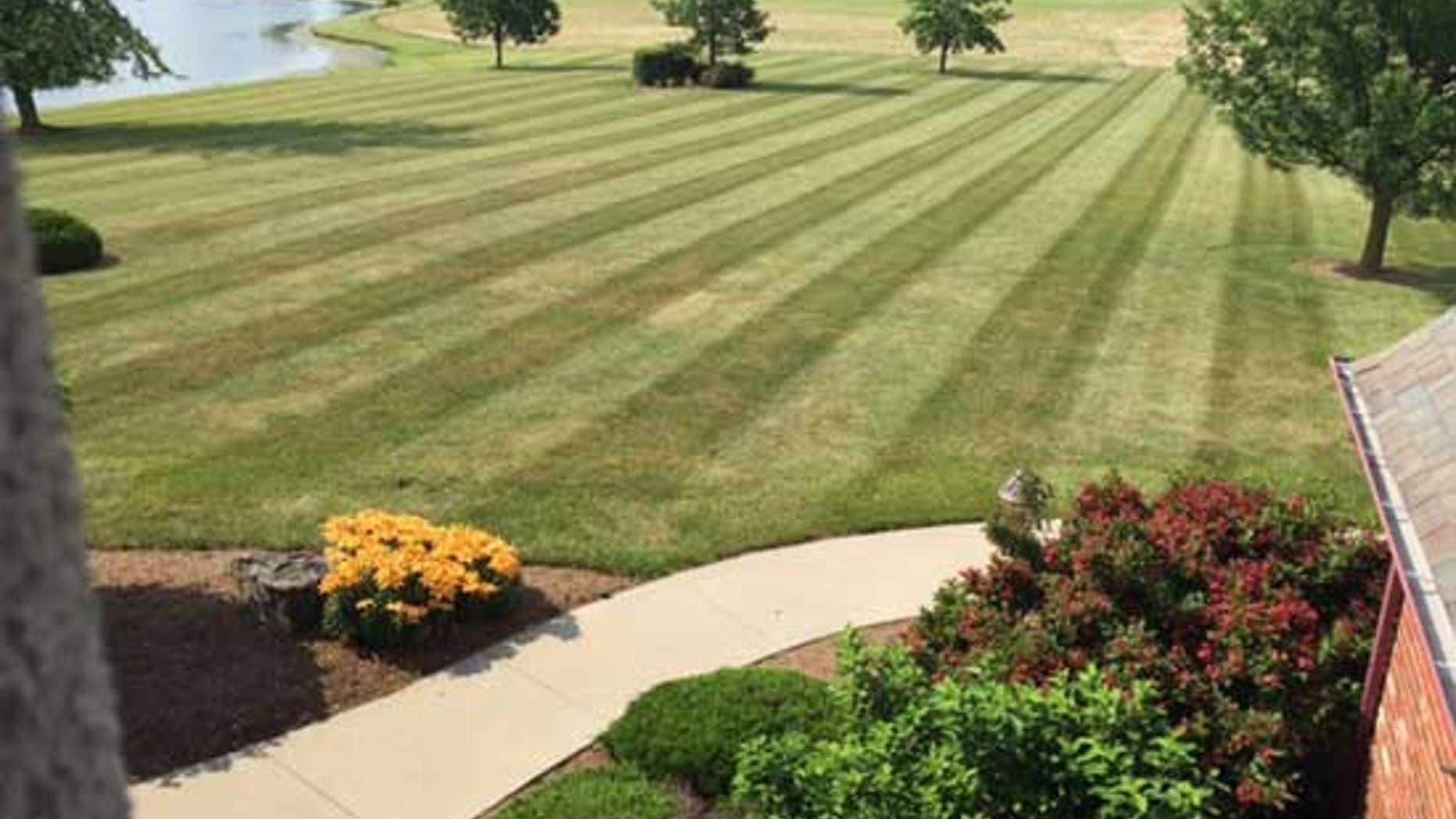 8 landscaping tricks that can save you money