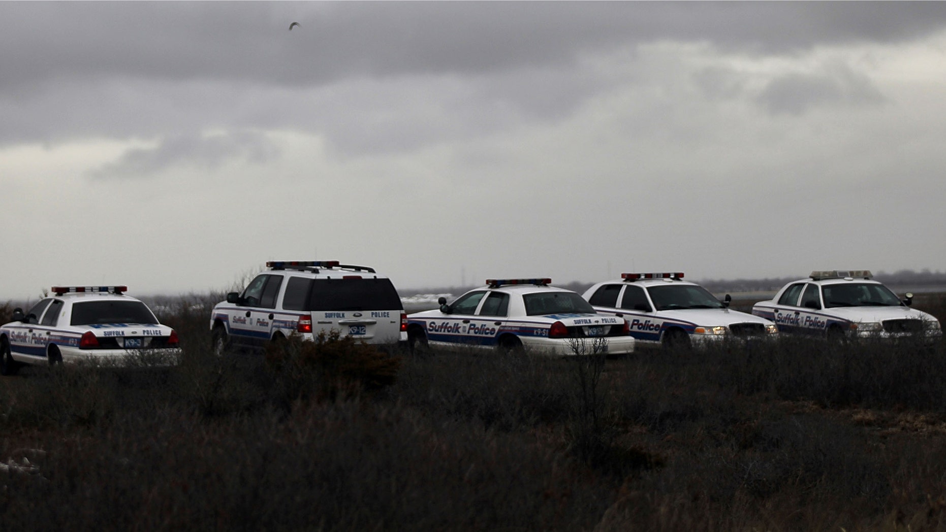Suffolk County Police cars