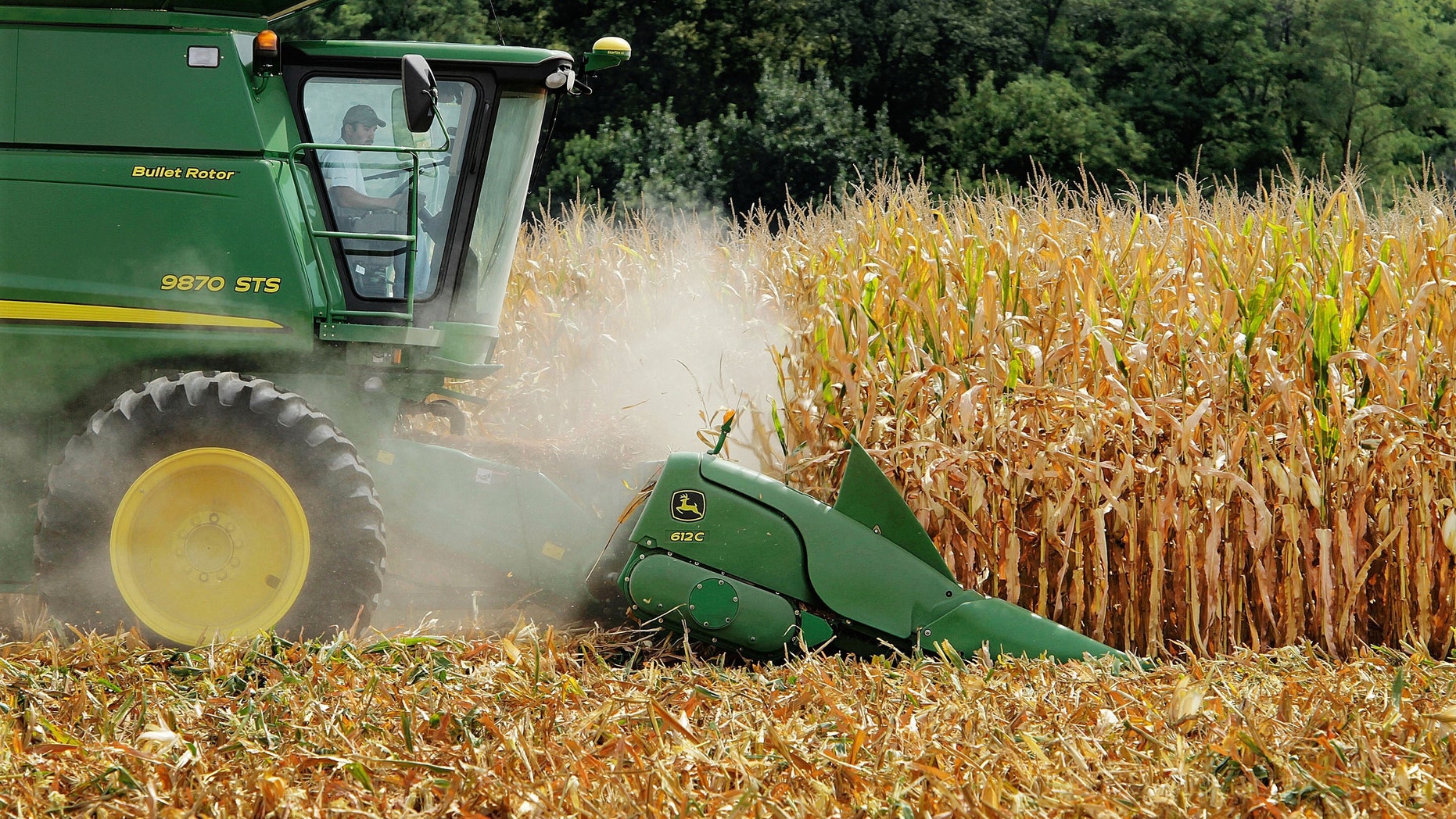 FILE - In this Aug. 30, 2011 file photo, a farmer harvests corn near Farmingdale, Ill. In a trial starting Tuesday, Nov. 3, 2015, jurors in the case between sugar processors and corn manufacturers will take up one of nutritions most vexing debates and confront a choice common among some consumers: sugar or high fructose corn syrup? (AP Photo/Seth Perlman, File)