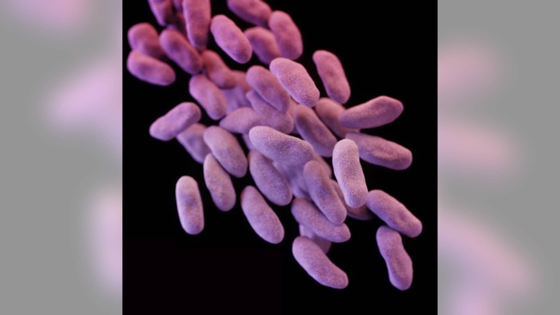 Carbapenem-resistant Enterobacteriaceae (CRE) bacteria is pictured in this medical illustration provided by the Centre of Disease Control and Prevention (CDC).