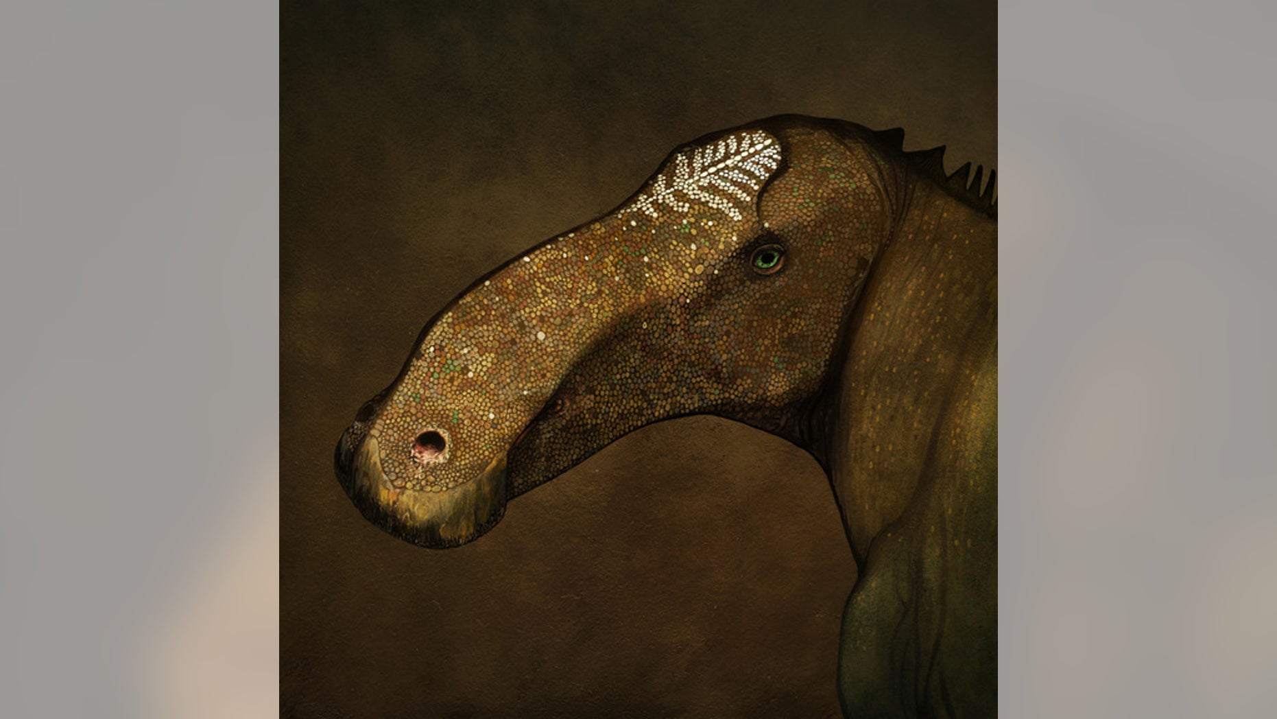 Artist's reconstruction of the head of Probrachylophosaurus bergei in life.