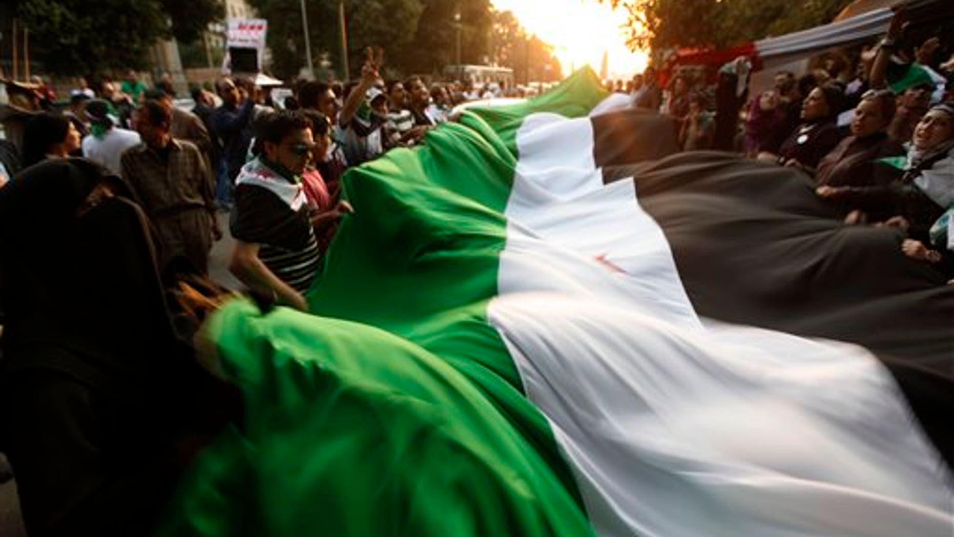Nov. 2, 2011: Protesters wave a big syrian flag during their anti-Syrian regime protest in front of the Arab league headquarters in Cairo, Egypt. Over 100 people protested outside the Arab League's Cairo headquarters where foreign ministers met Wednesday, waving the tri-colored Syrian flag and chanting slogans against Assad.