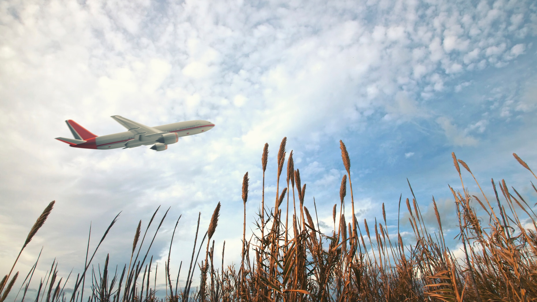 Think twice before packing that pricey pate in your luggage.