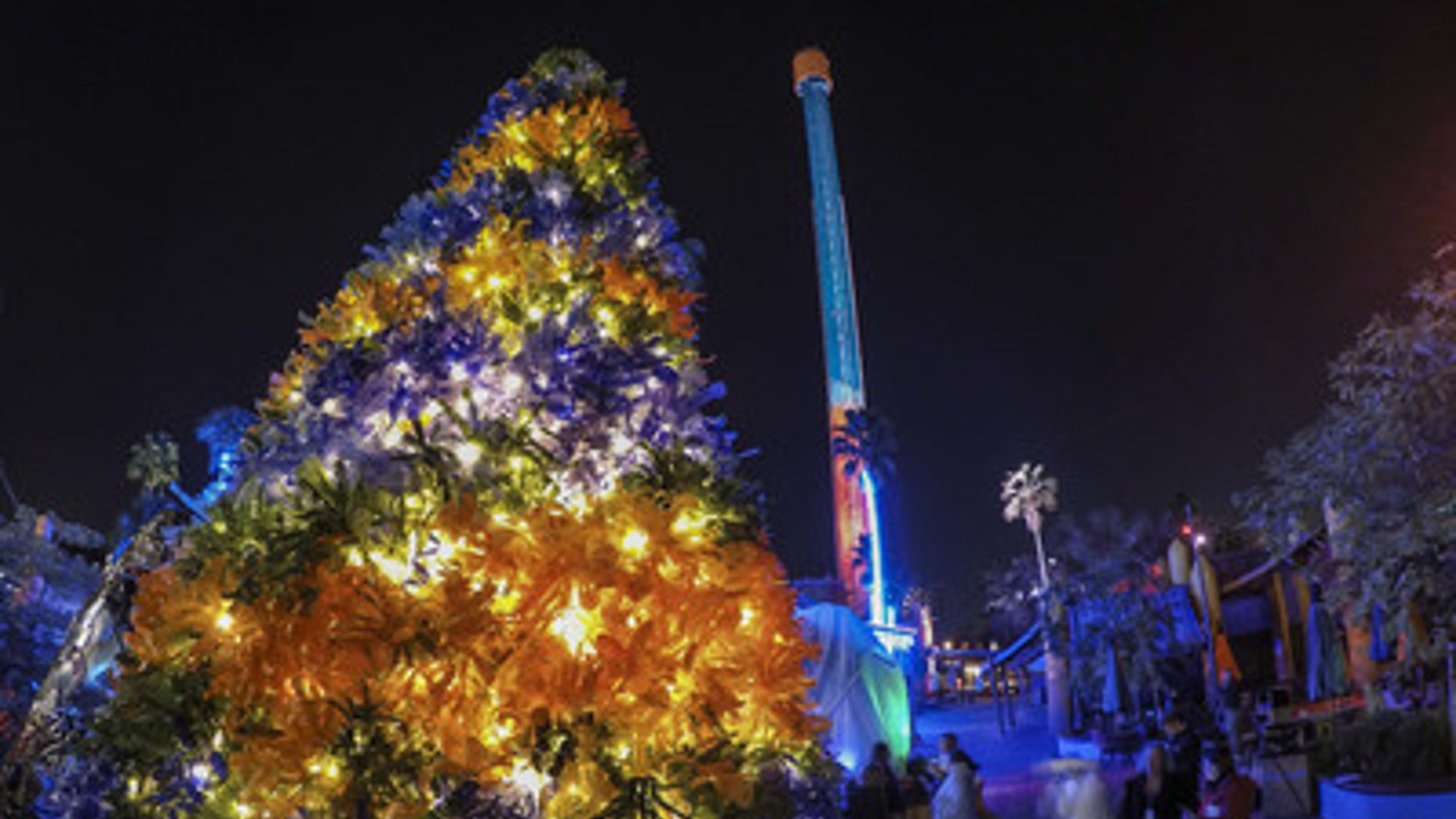 Tampa-area schools helped transform thousands of recycled plastic bottles into The Bottle Christmas Tree, on display at Busch Gardens Tampa’s Christmas Town holiday celebration.