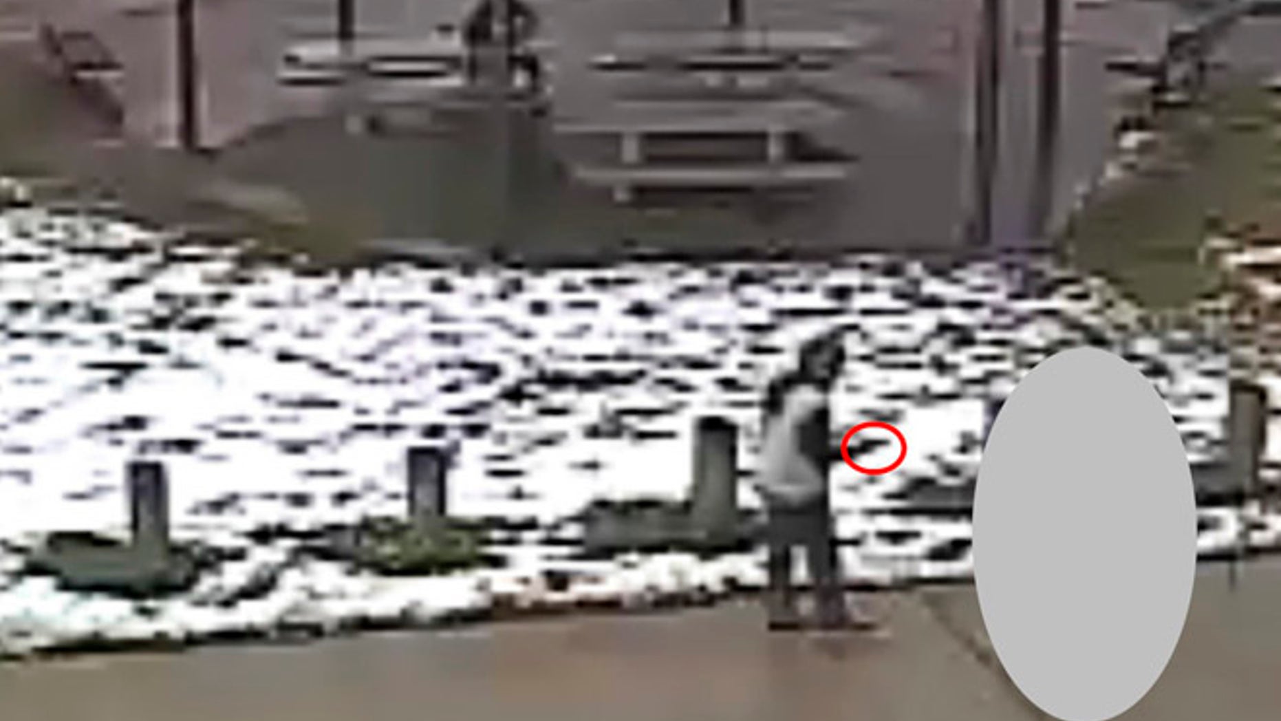 Tamir E. Rice, 12, is seen allegedly pointing a pellet gun at the Cudell Recreation Center in Cleveland, Ohio, in this still image from video released by the Cleveland Police Department November 26, 2014. Rice was shot by a patrol officer on Saturday after a 911 call reported someone pointing a gun at people. REUTERS/Cleveland Police Department/Handout via Reuters