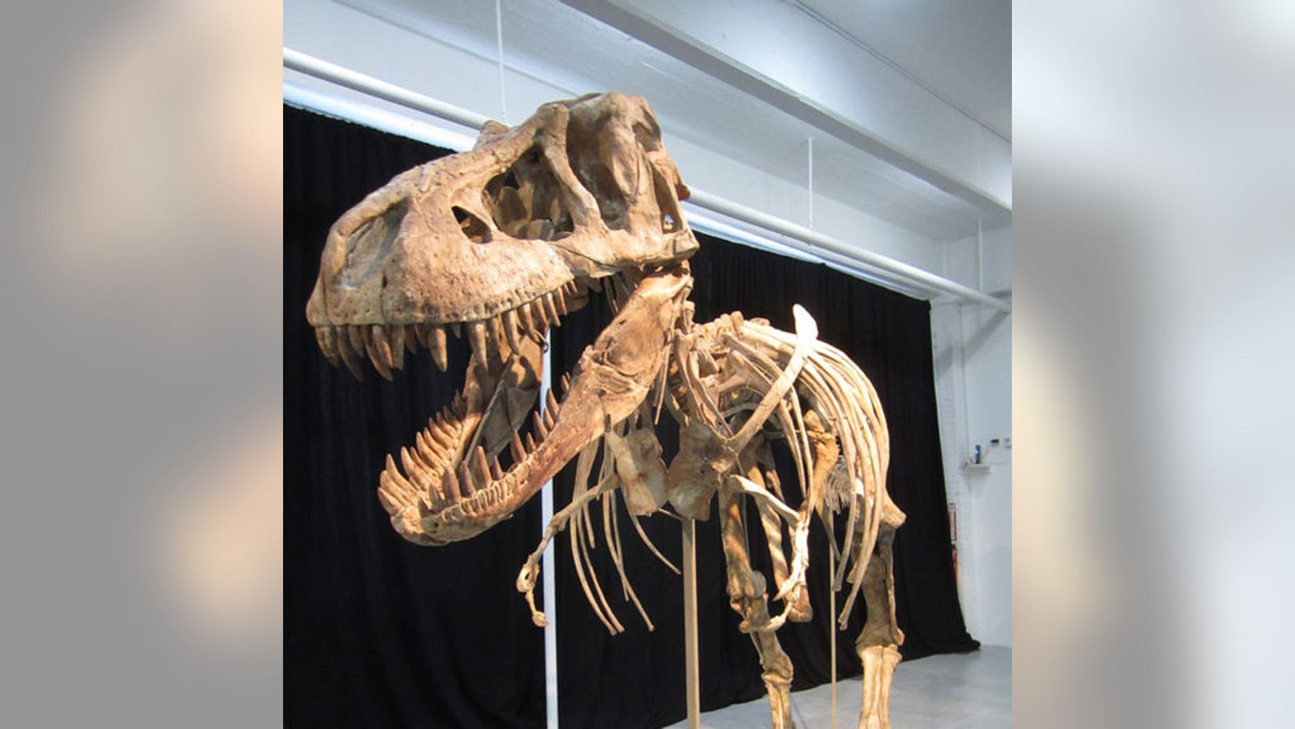 This dinosaur, a relative of Tyrannosaurus rex, is the subject of legal battle over whether or not it can be sold in the U.S. The president of Mongolia says it was almost certainly smuggled out of the country.