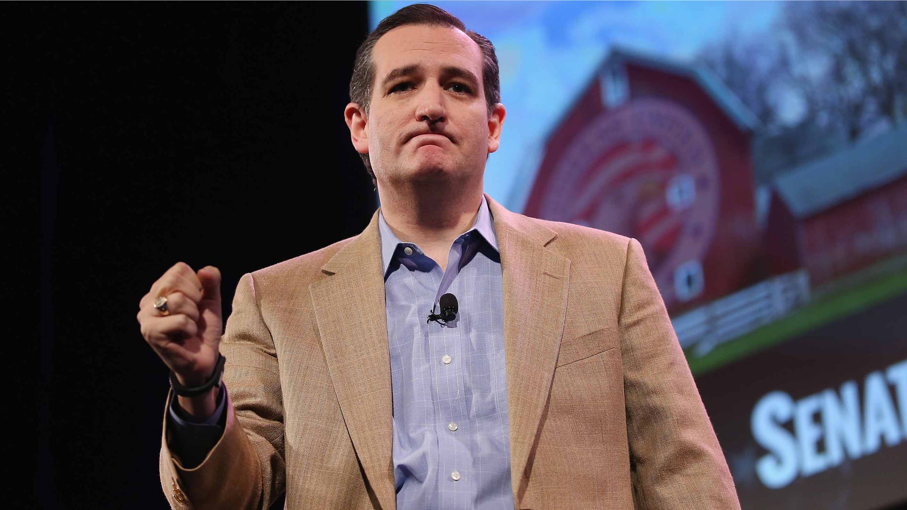 Sen. Ted Cruz at the Iowa Freedom Summit on January 24, 2015 in Des Moines, Iowa.