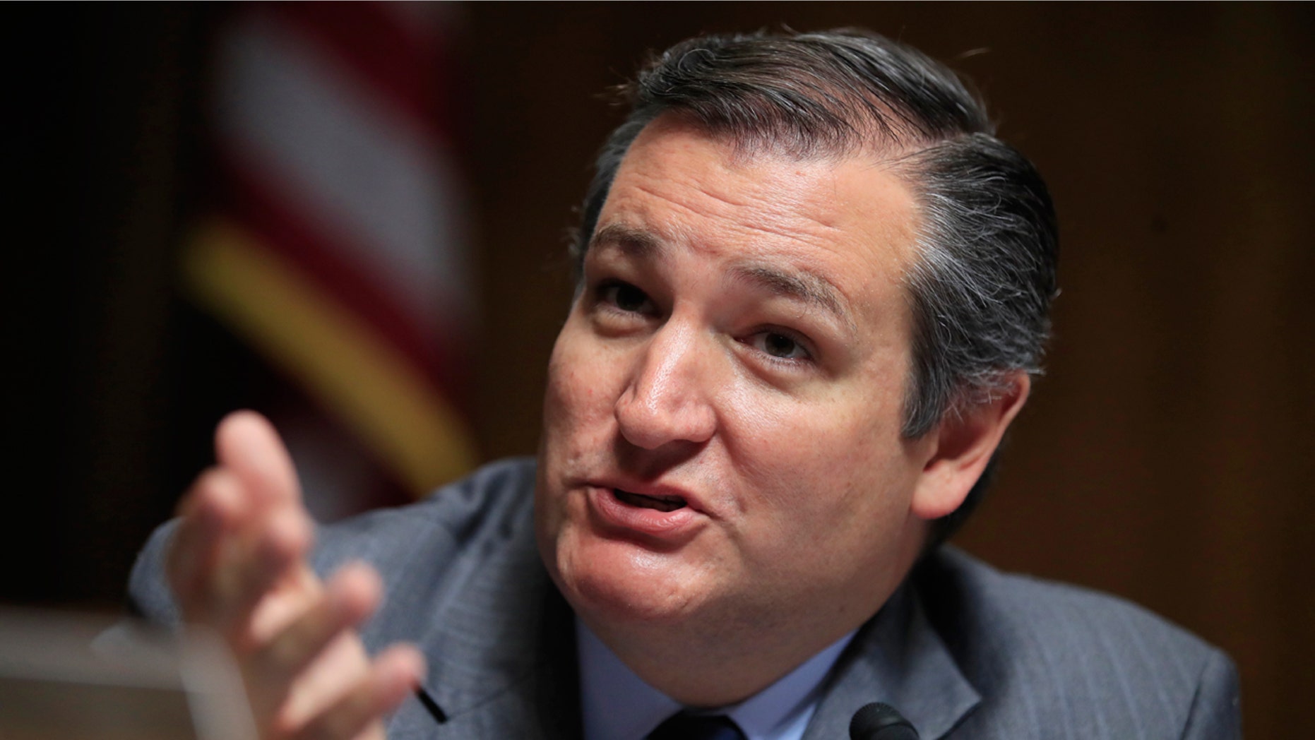 Sen. Ted Cruz, R-Texas, says the decision to add a question on citizenship to the 2020 census is "reasonable."