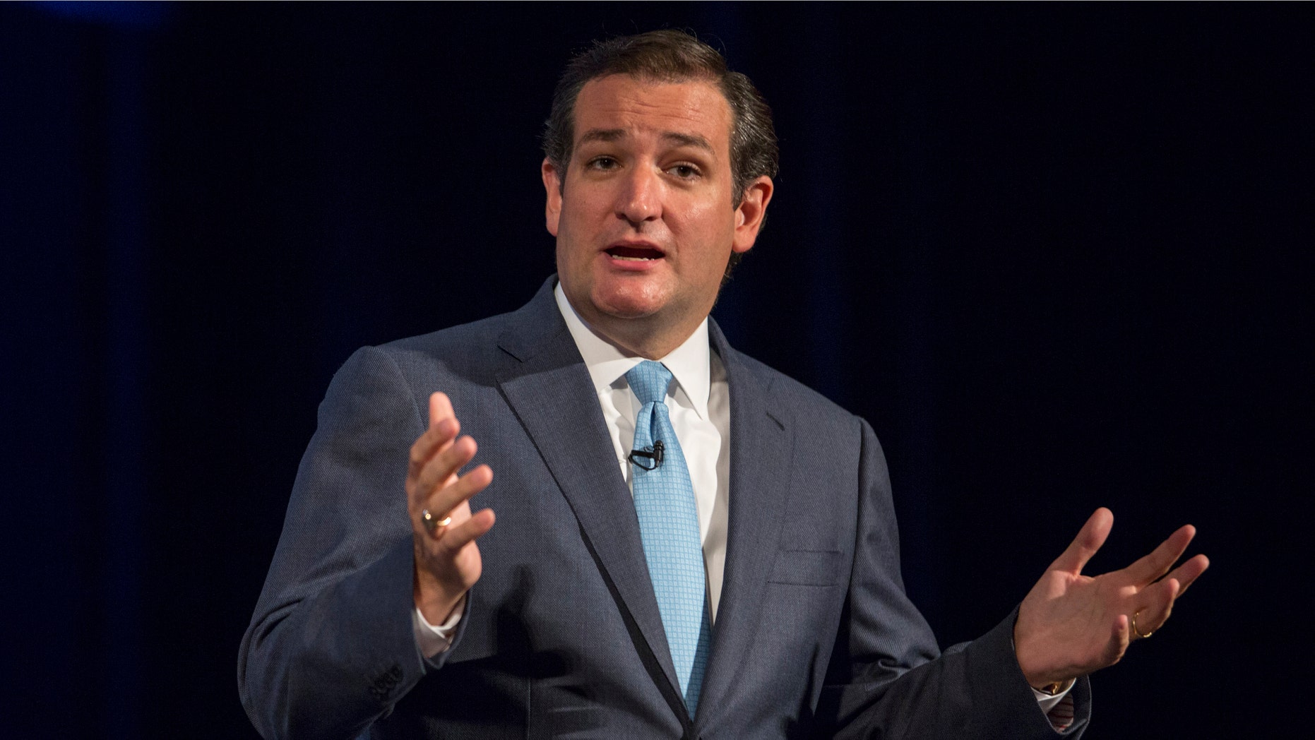Sen. Ted Cruz, (R-Texas), speaks during the family leadership summit in Ames, Iowa Saturday Aug. 10, 2013.