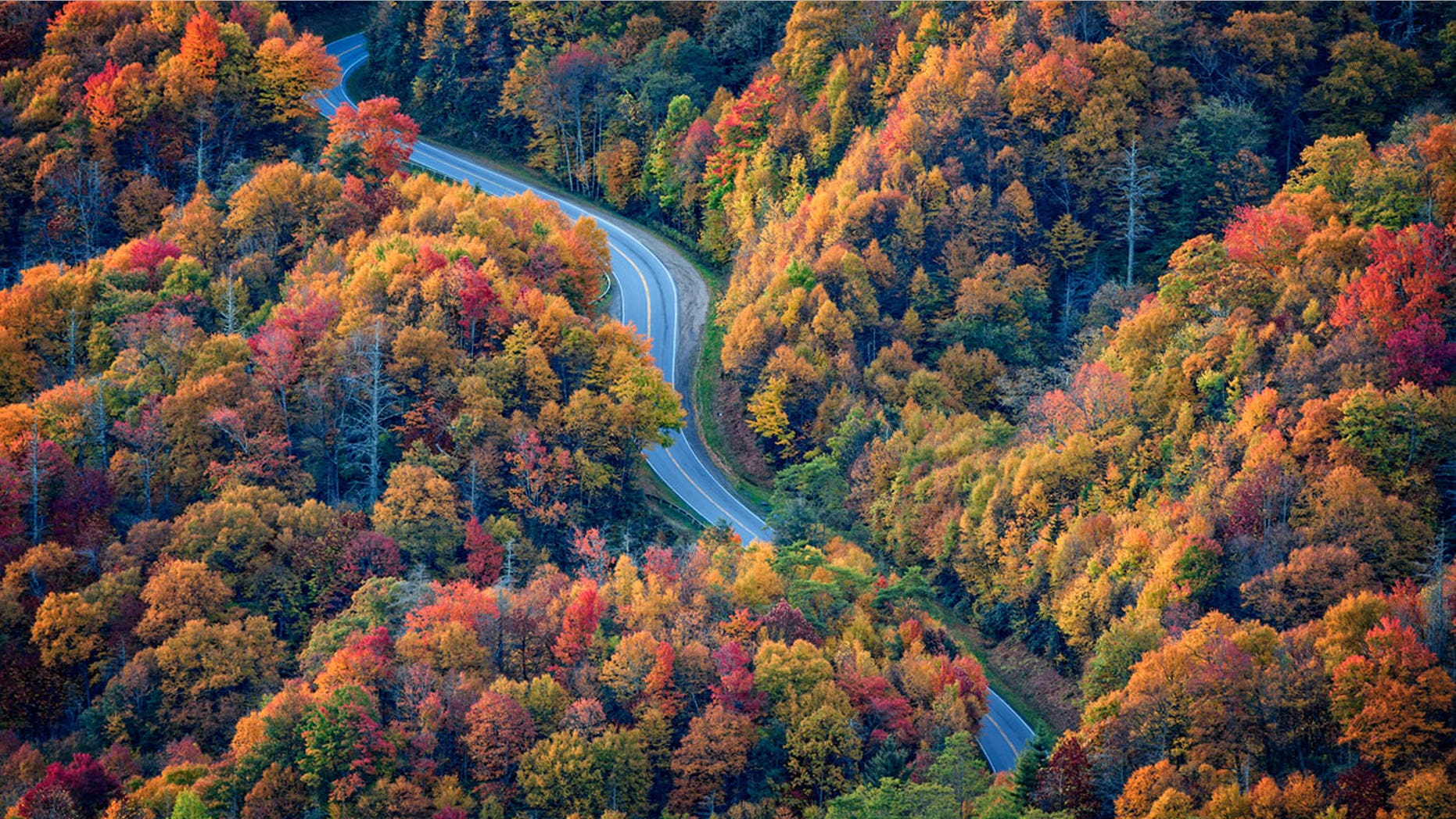 Many will now be able to see fall foliage in its full splendor for the first time.