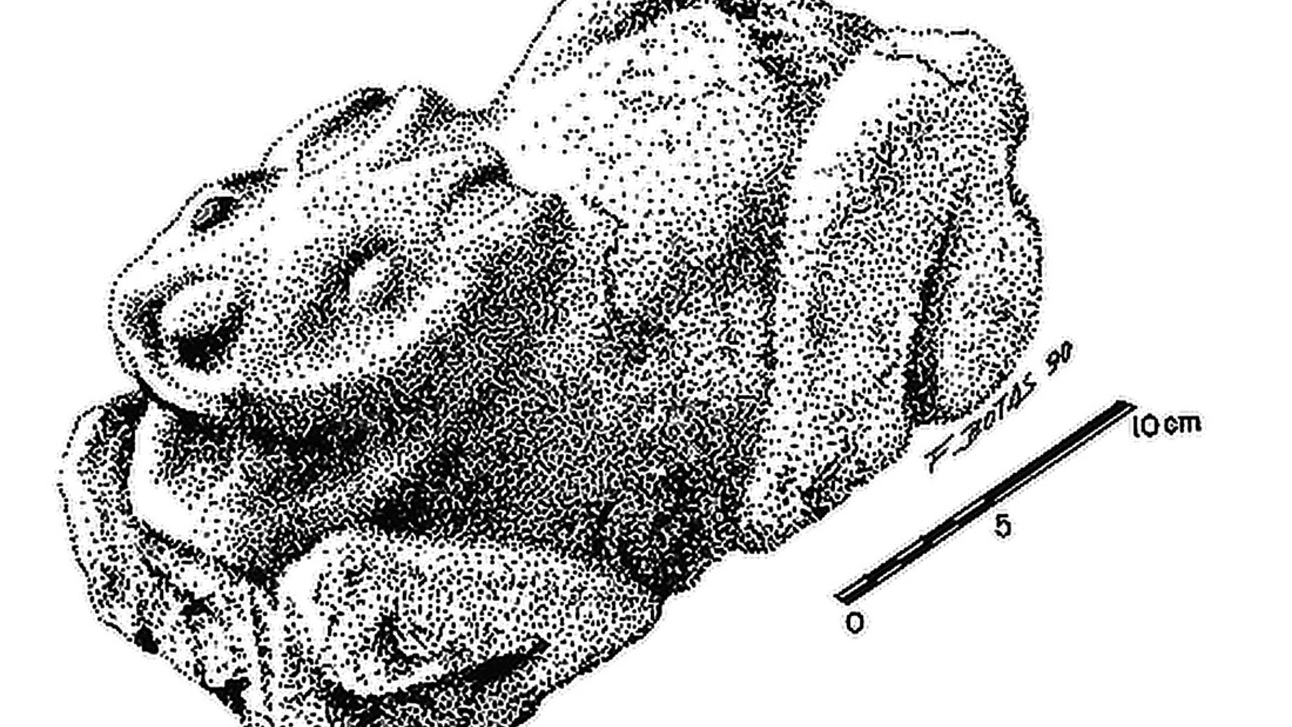 Scientists found a stone sculpture of a rabbit (shown here in an illustration) on one of the courtyards of a complex in the ancient city of Teotihuacan.