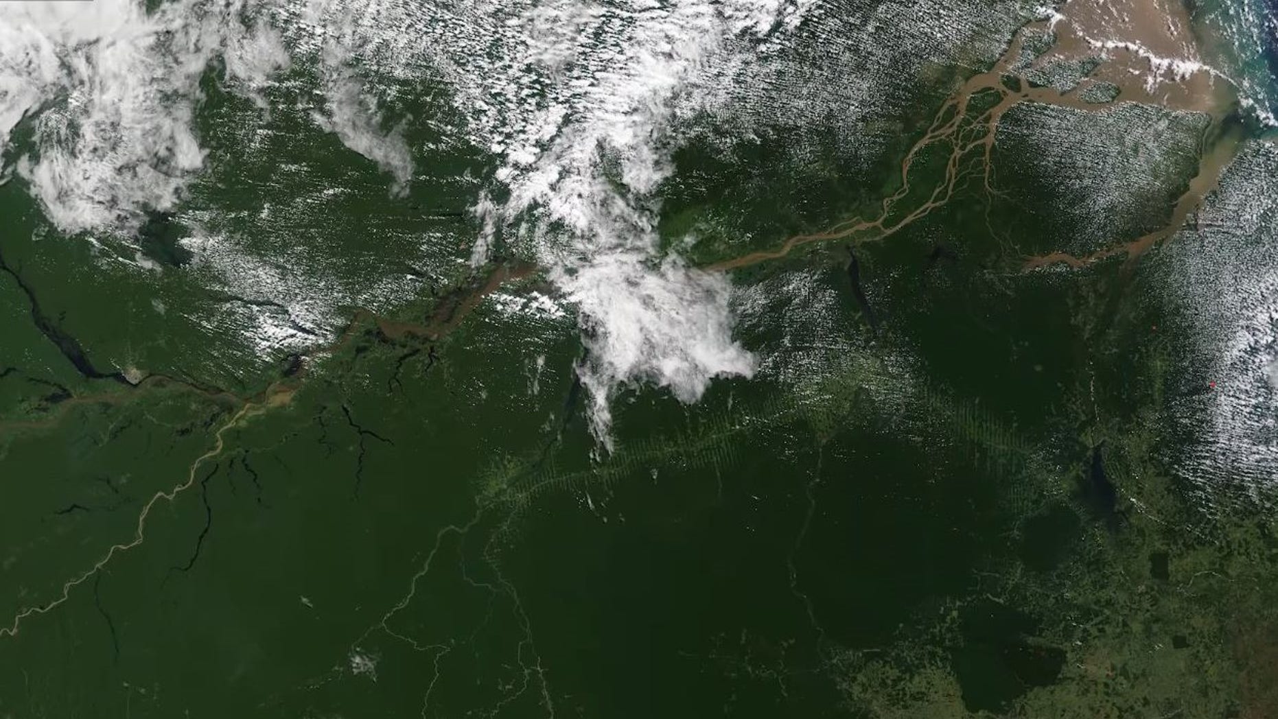 NASA's Terra satellite takes an image of the Amazon basin in South America, and observes its vegetation.