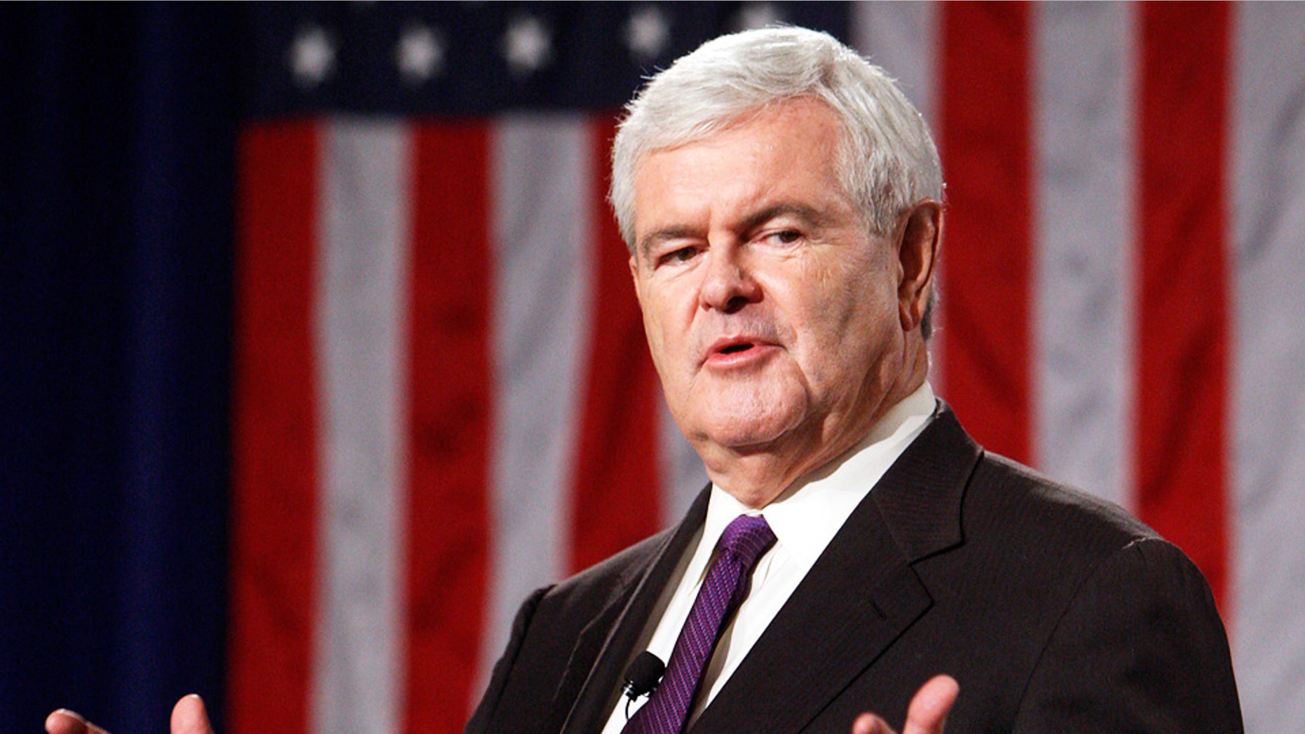 Newt Gingrich speaking during an American Solutions rally in Las Vegas.