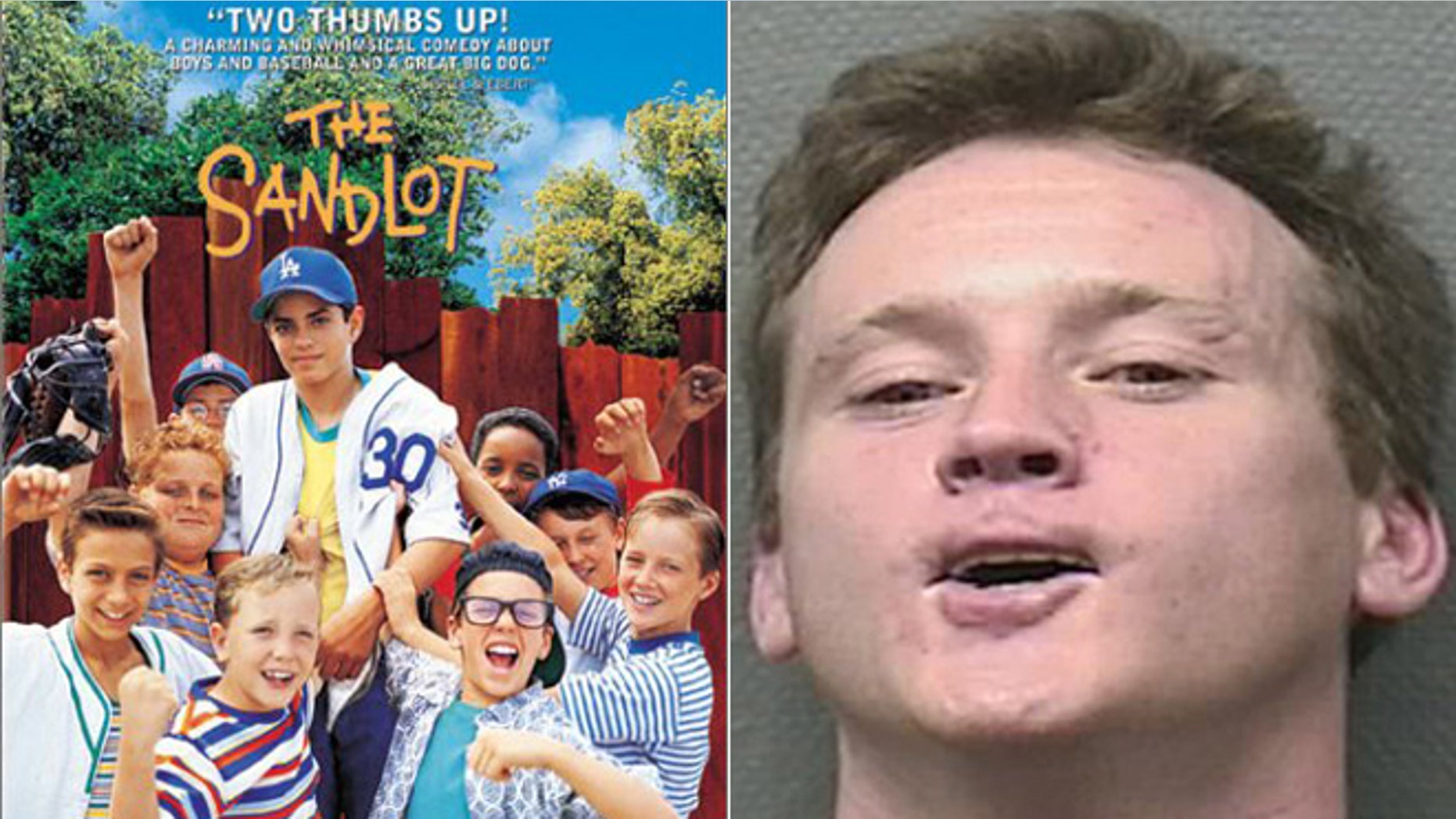One of the stars of "The Sandlot" Tom Guiry was arrested for allegedly headbutting a police officer.