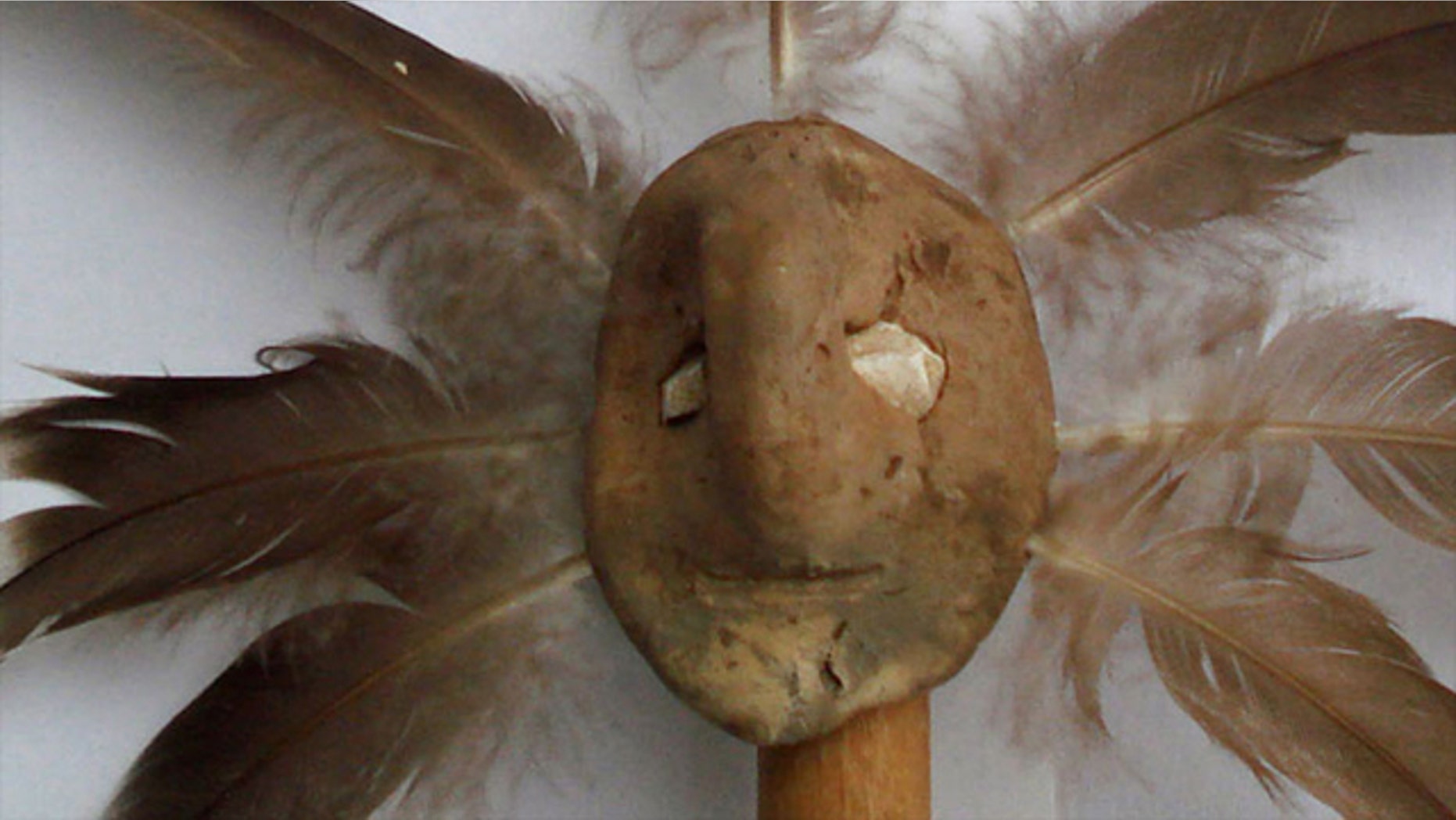 The clay effigy head measures just 1.5 by 1.1 inches (37 by 27 mm), with eyes made out of shell. Archaeologists placed modern feathers into the holes around the face to reveal what they would've looked like in antiquity.