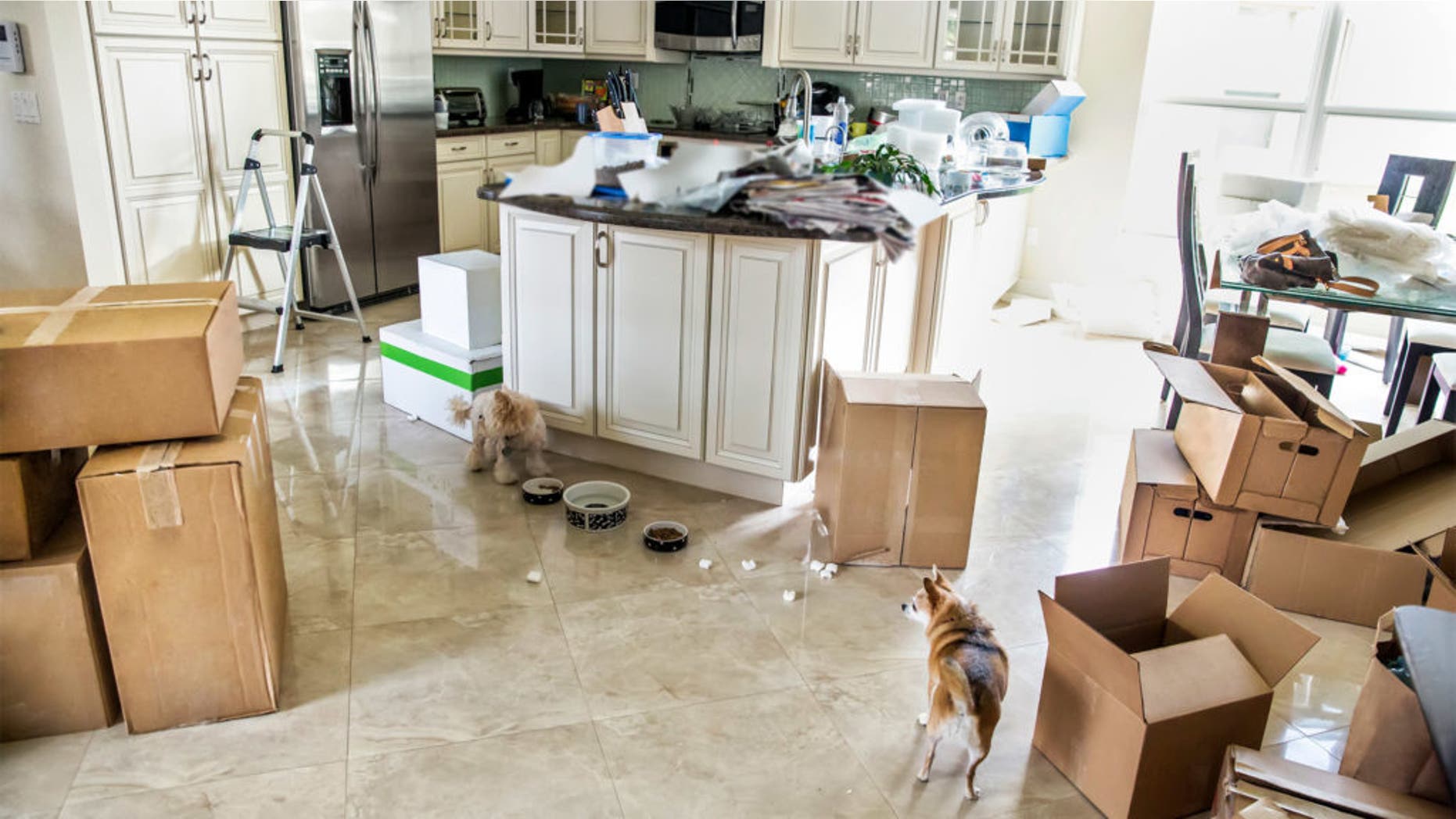 things-annoying-movers