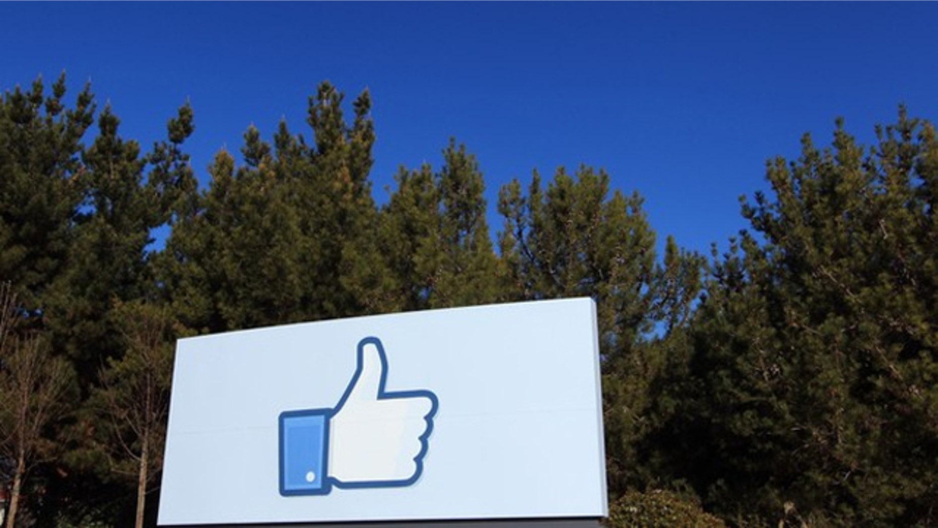 Facebook is teaming up with its tech peers to fight scams.