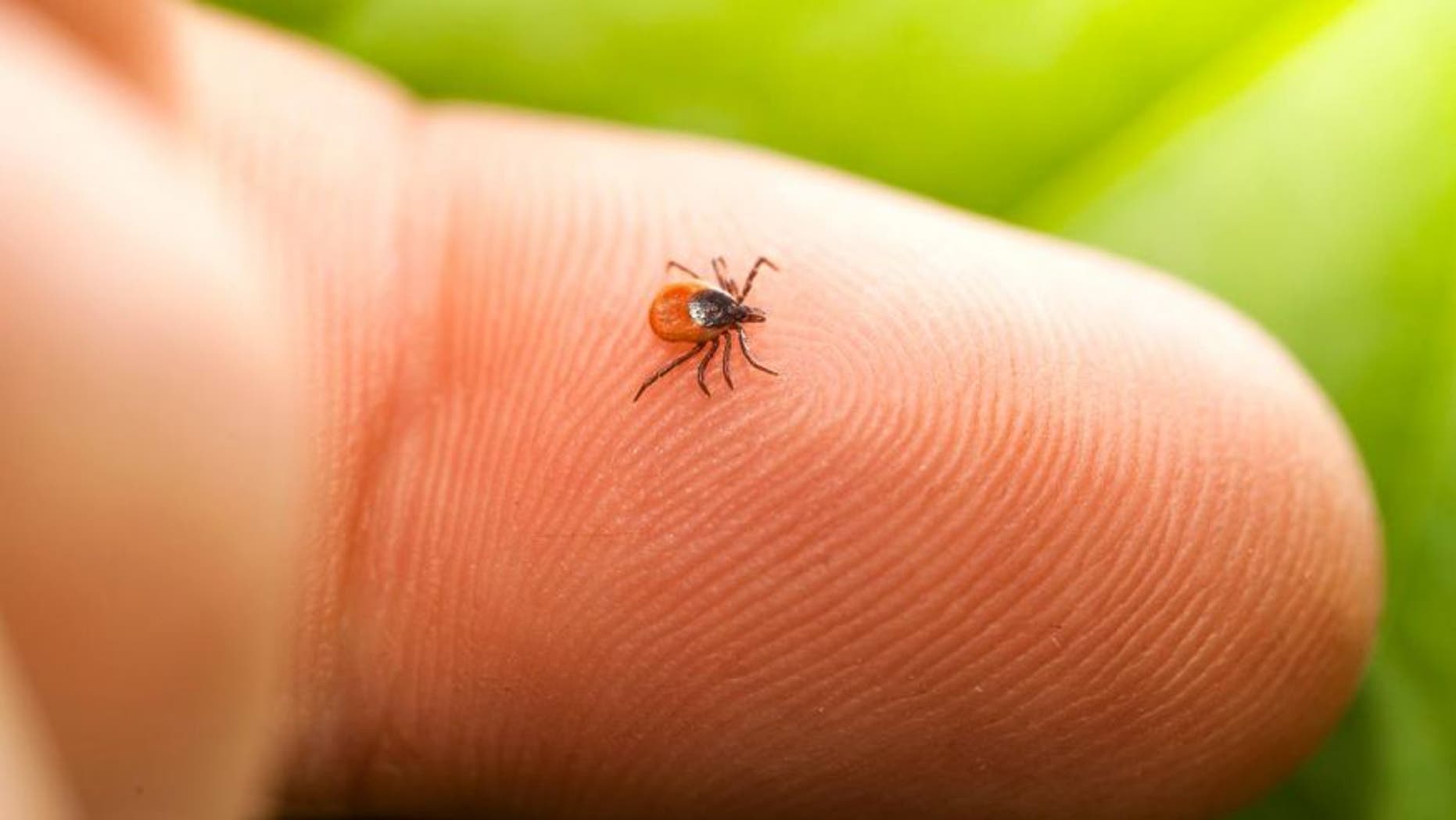 Here's how to get that sucker off safely and what to do next.