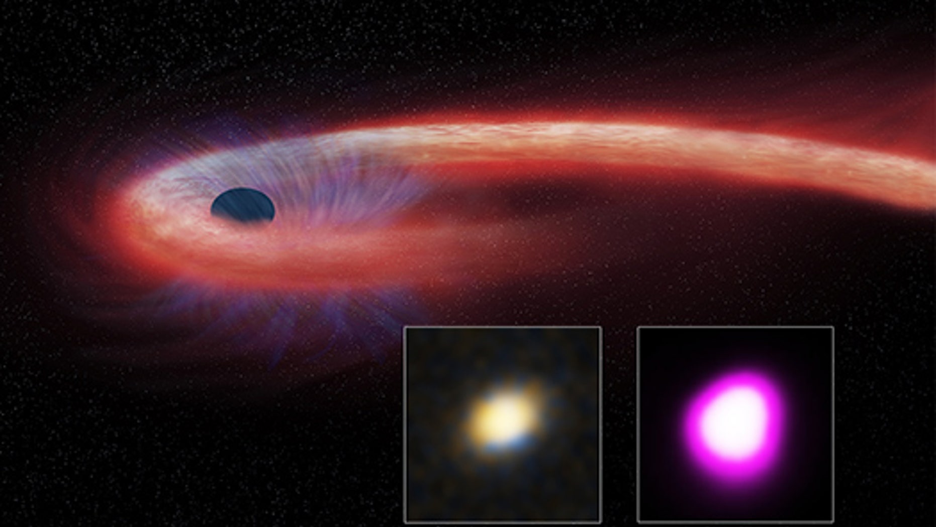 A giant black hole ripped apart a star and then gorged on its remains for about a decade, according to astronomers. (X-ray: NASA/CXC/UNH/D.Lin et al, Optical: CFHT, Illustration: NASA/CXC/M.Weiss)