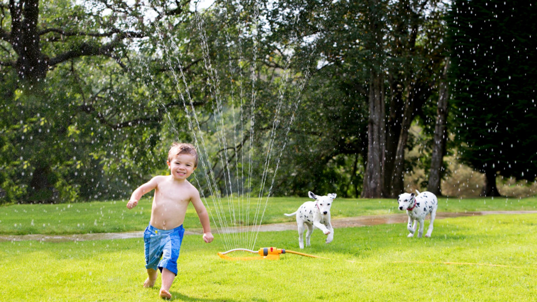 A toddler boy runs across the lawn.