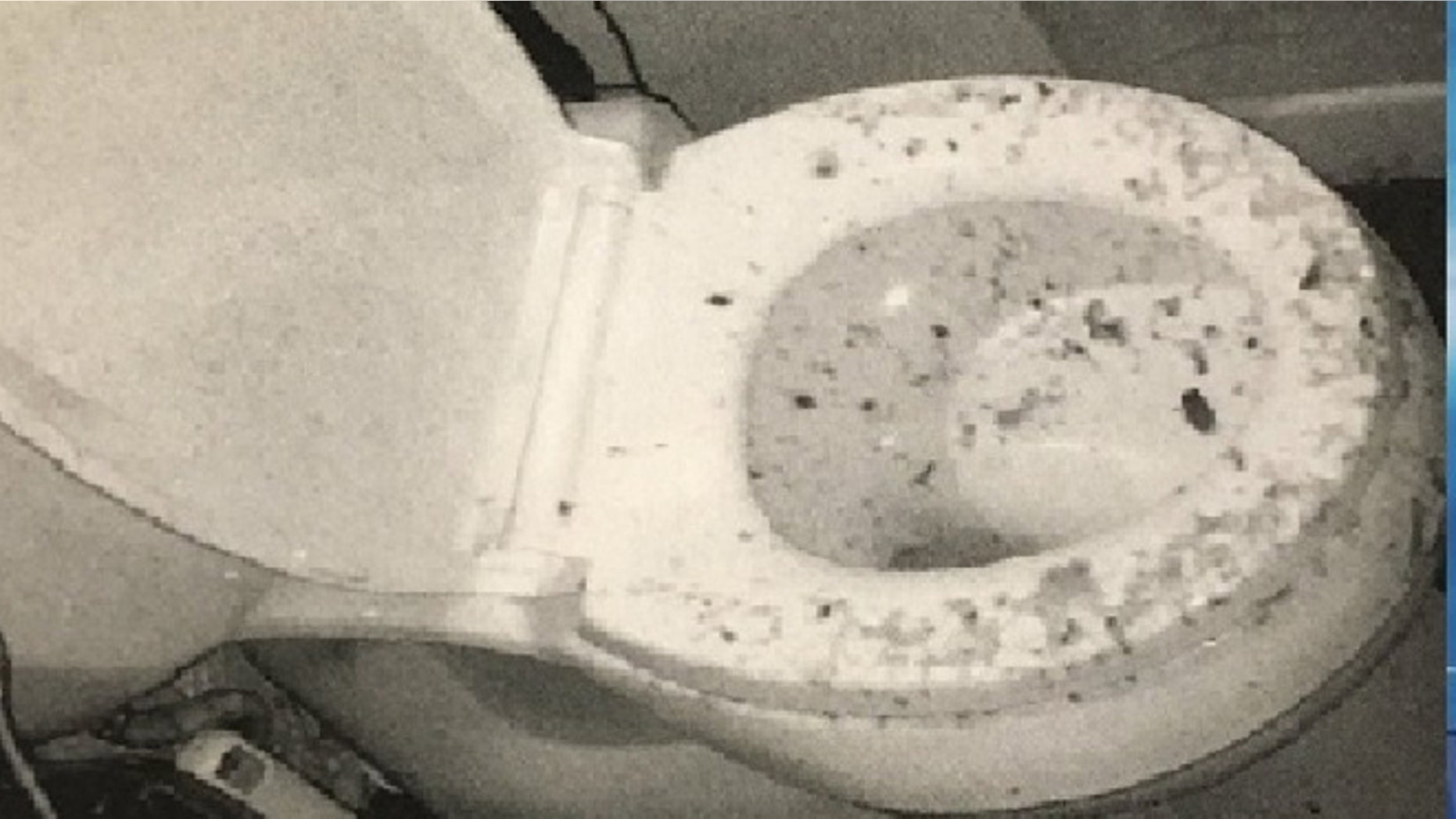 Baltimore woman sues over exploding toilet. (Fox 45)