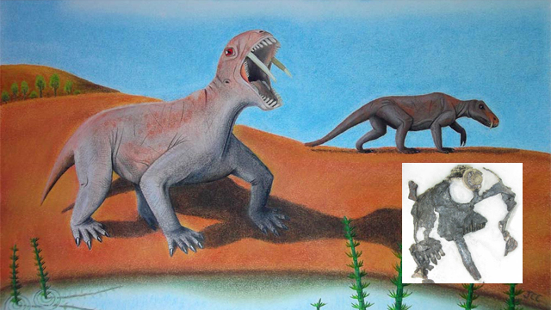 The toothy reptile Tiarajudens eccentricus (skull shown in inset) likely used its saber teeth to defend against carnivores like this dinocephalian shown in this life reconstruction.